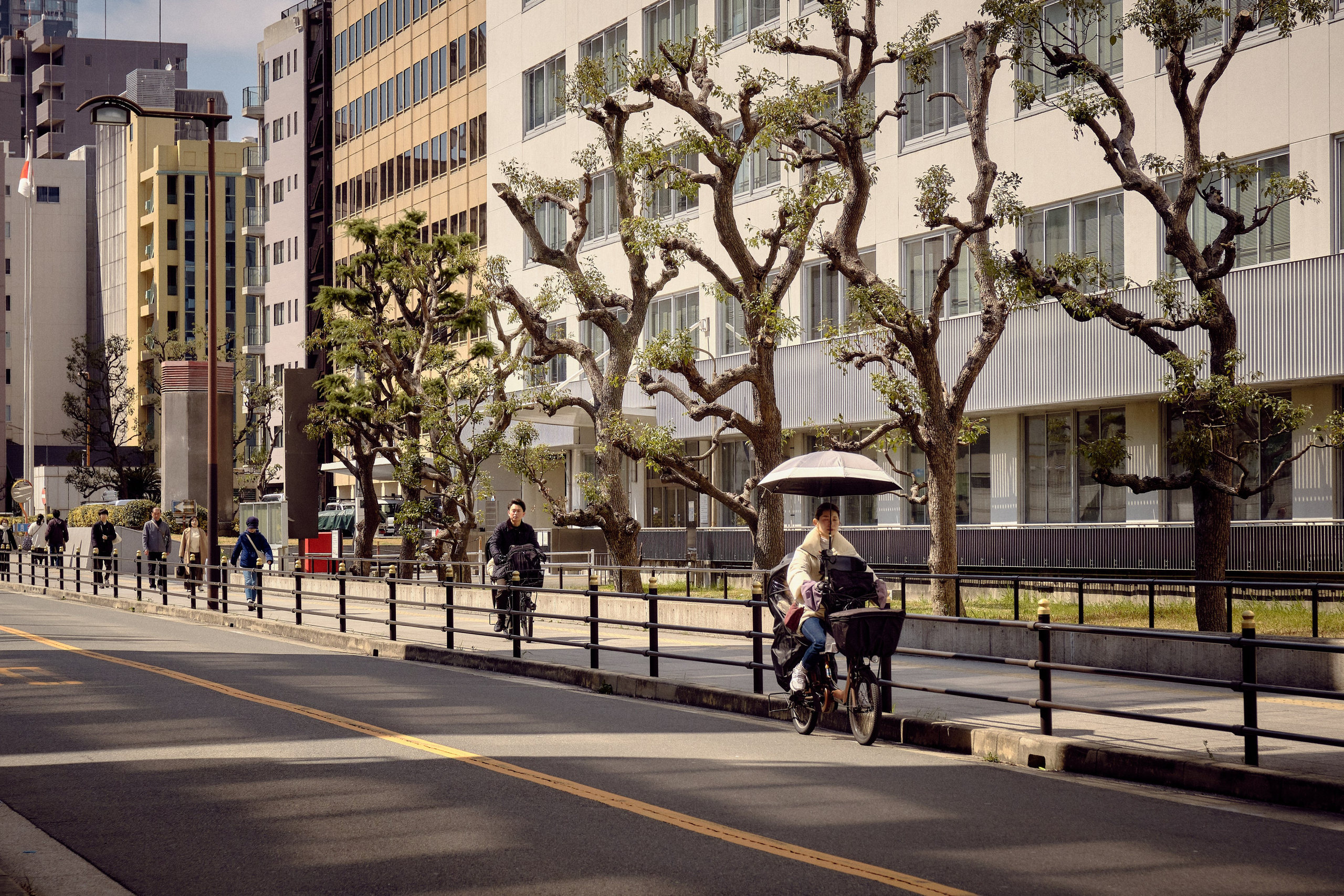 Japan / Osaka≫Kyoto≫Tokyo. Aleksandr Kobtsev