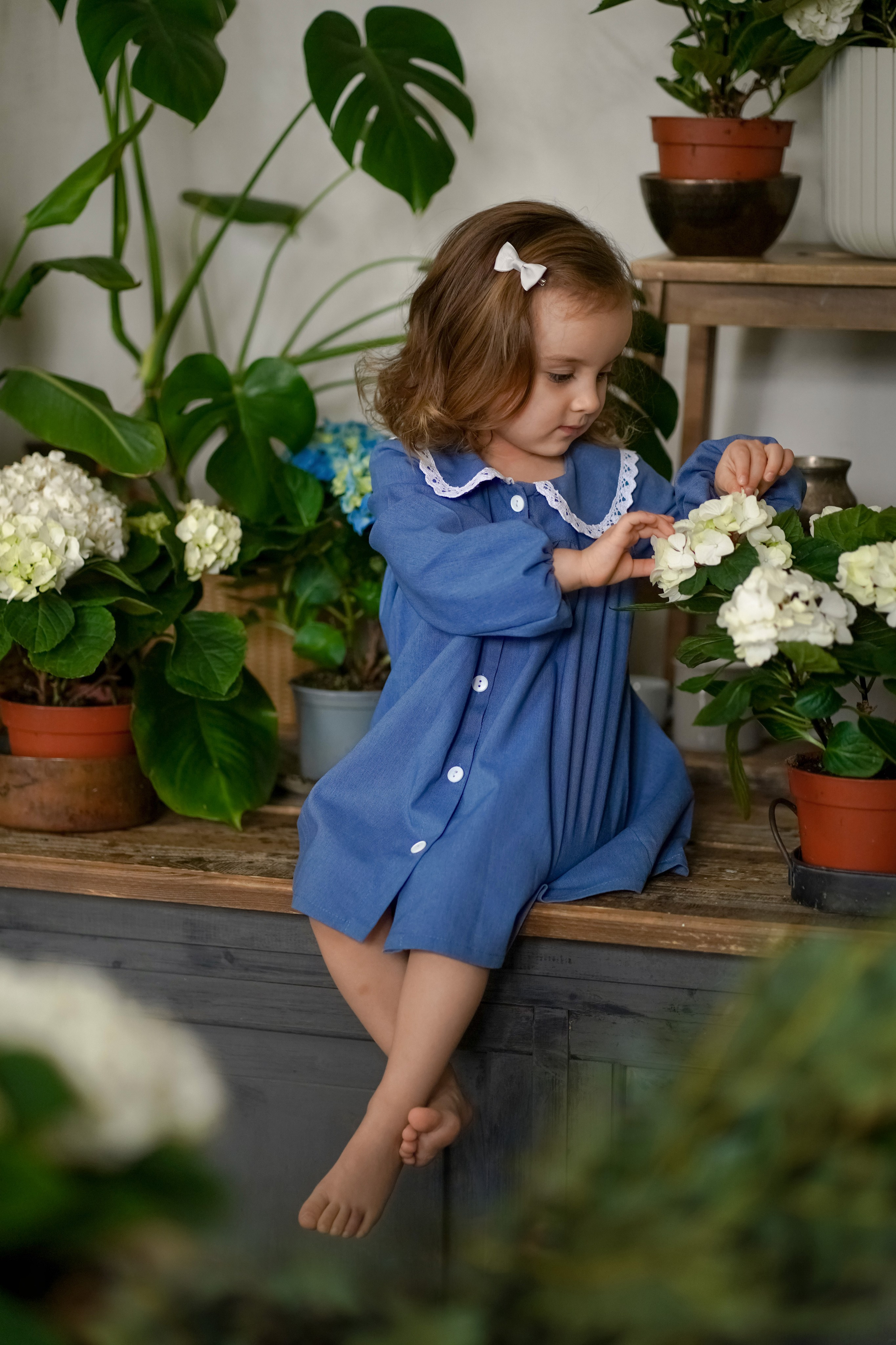 Маленький цветочек. Фотограф Татьяна Митрофанова