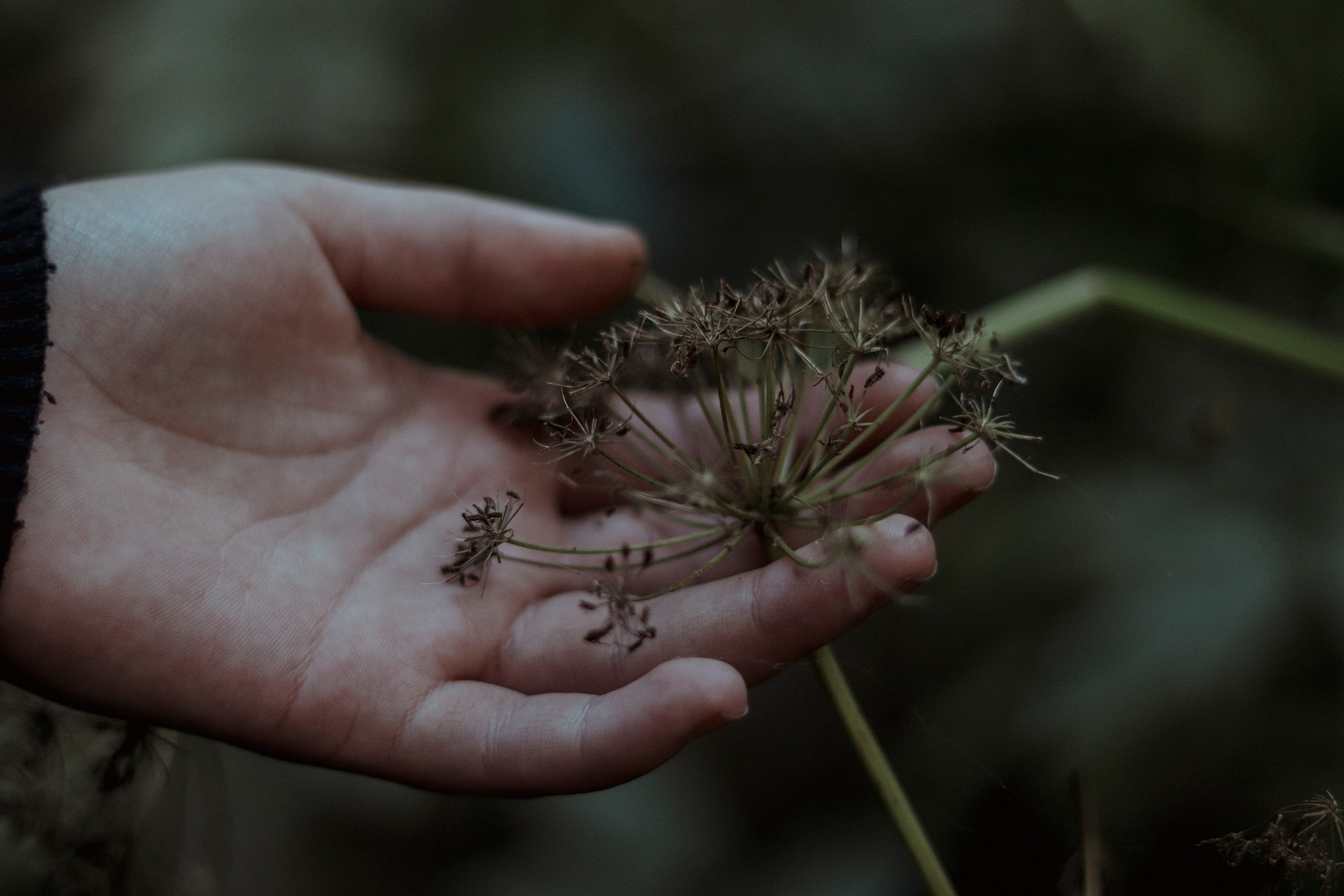 Татьяна. Ивентный фотограф в Санкт-Петербурге Олег Комков