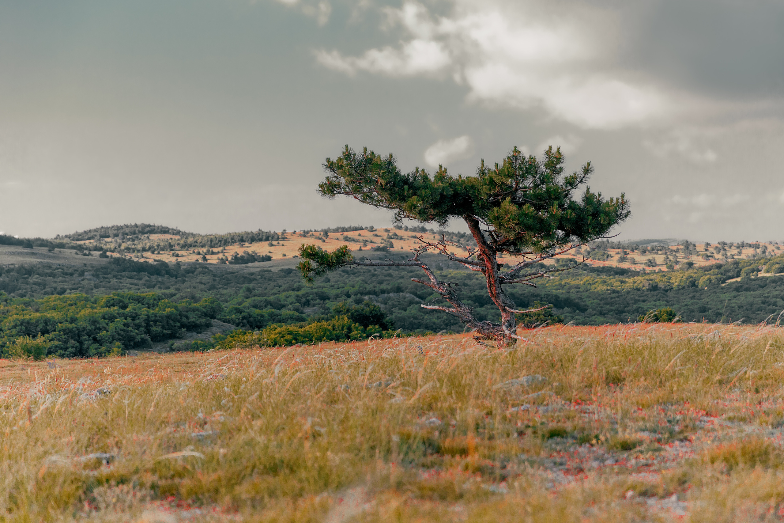 Street и путешествия