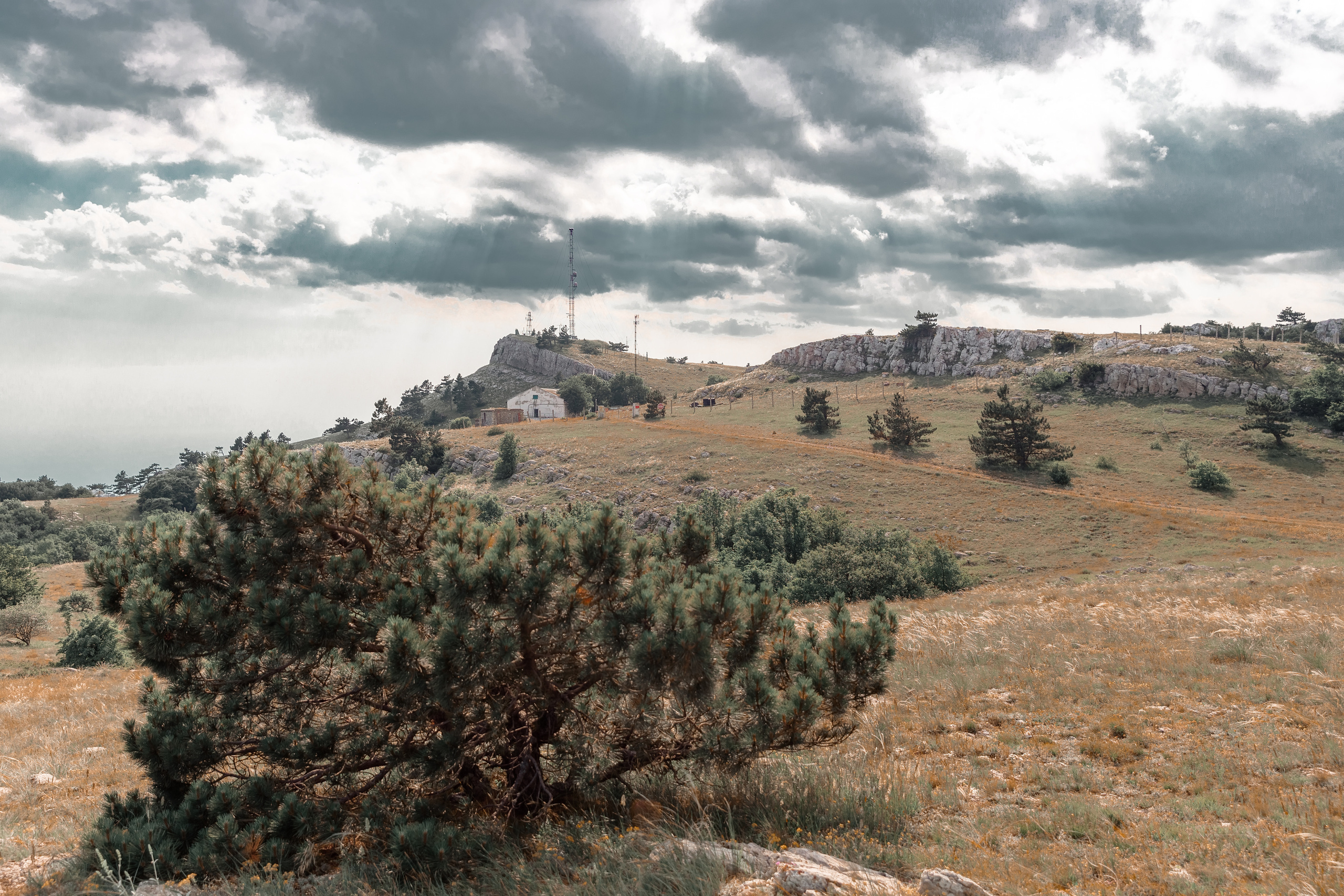 Street и путешествия