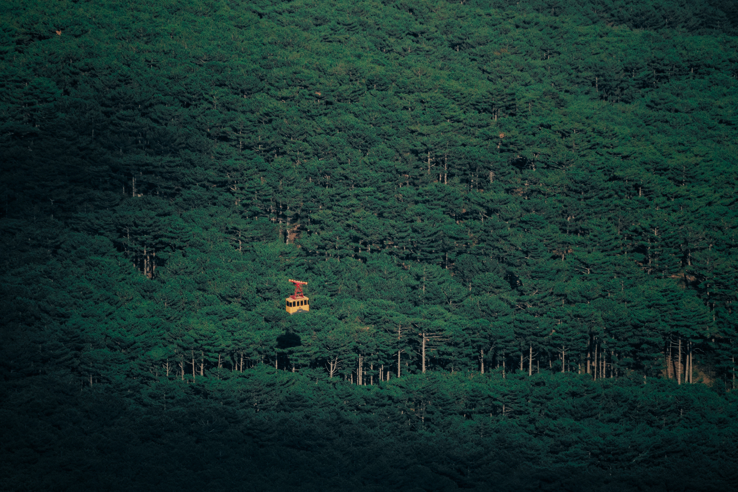 Street и путешествия