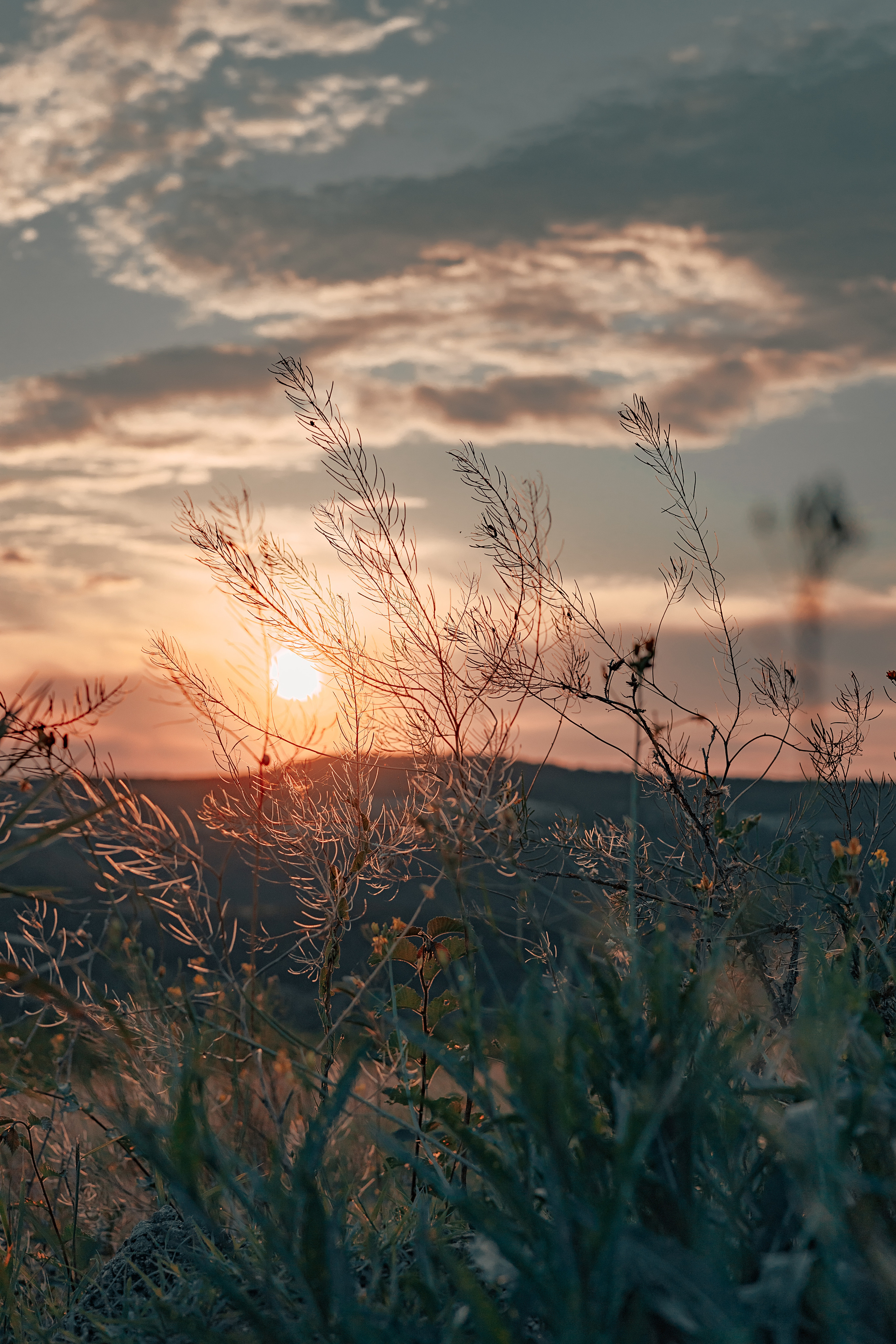 Street и путешествия