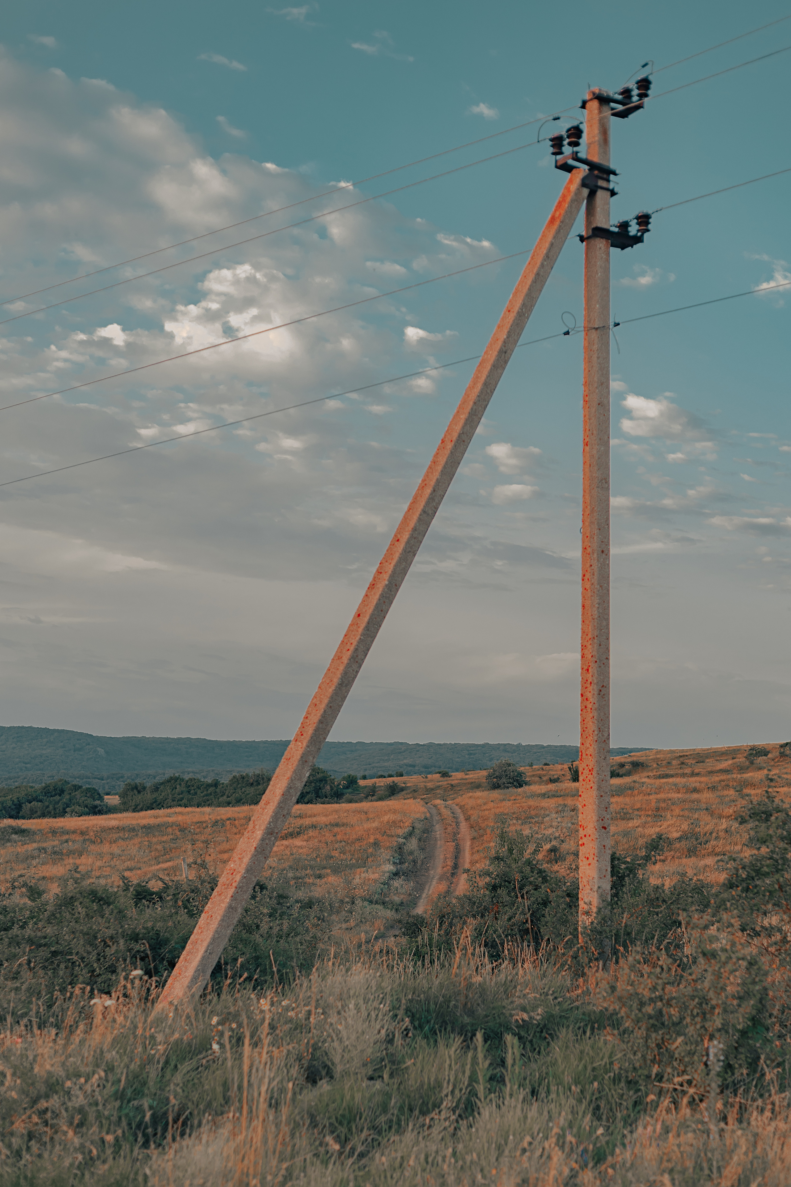 Street и путешествия
