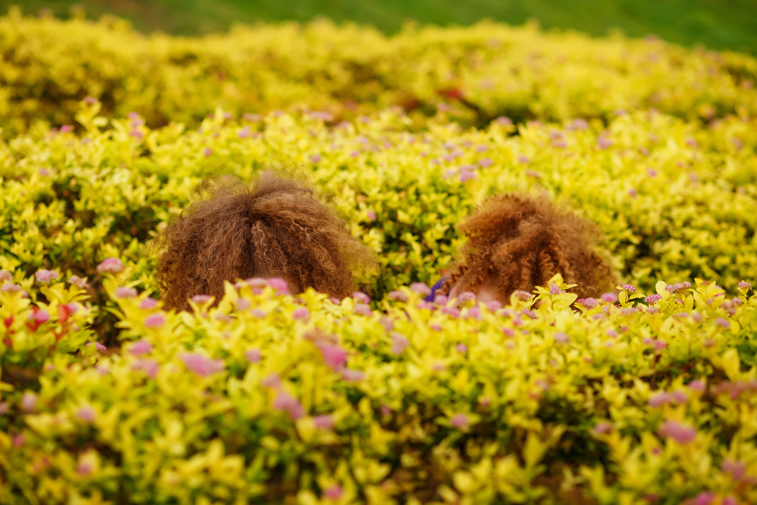 . Фотограф в Москве и Одинцово