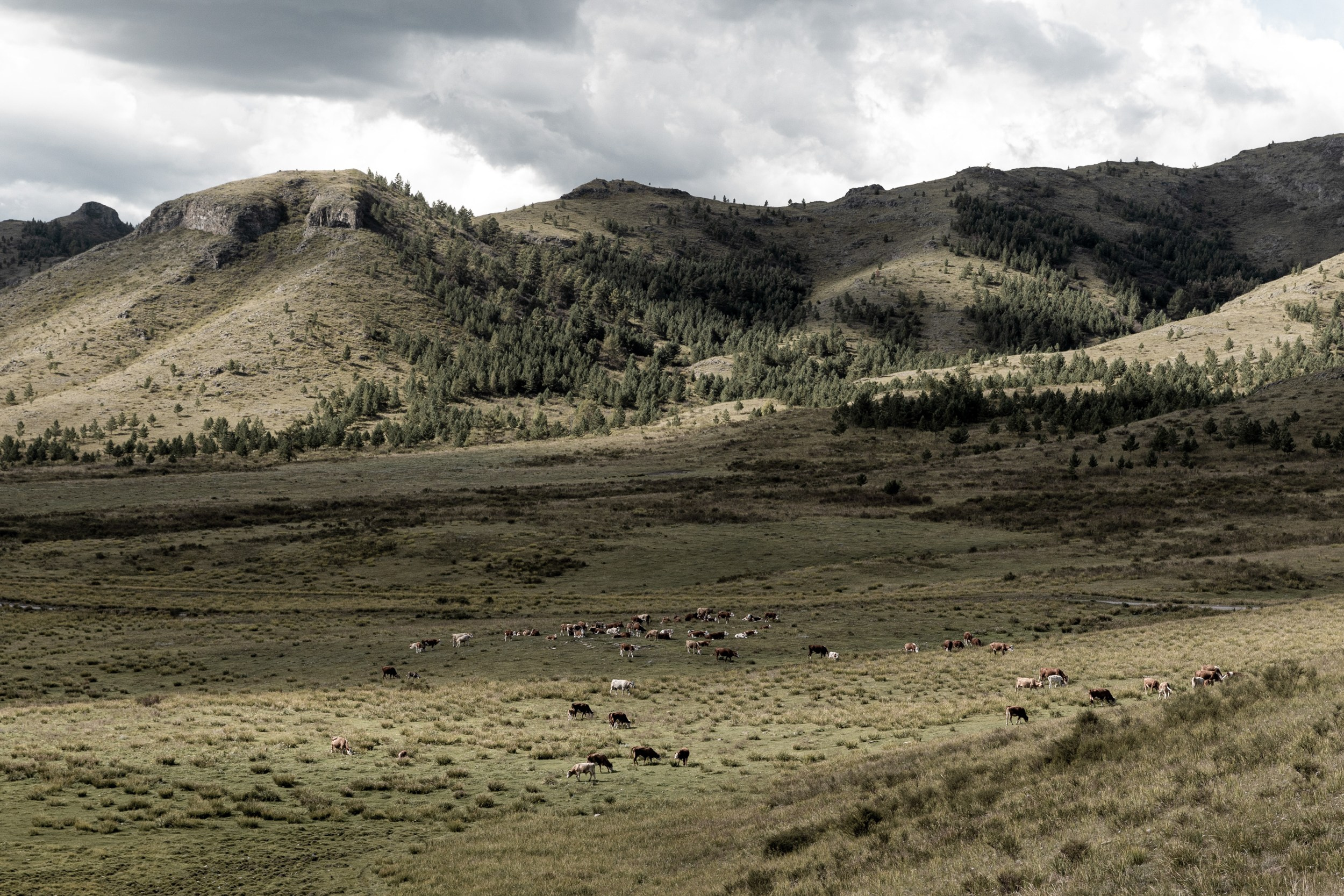 Земля пяти стихий. Yulia Nevskaya, documentary photographer and photojournalist