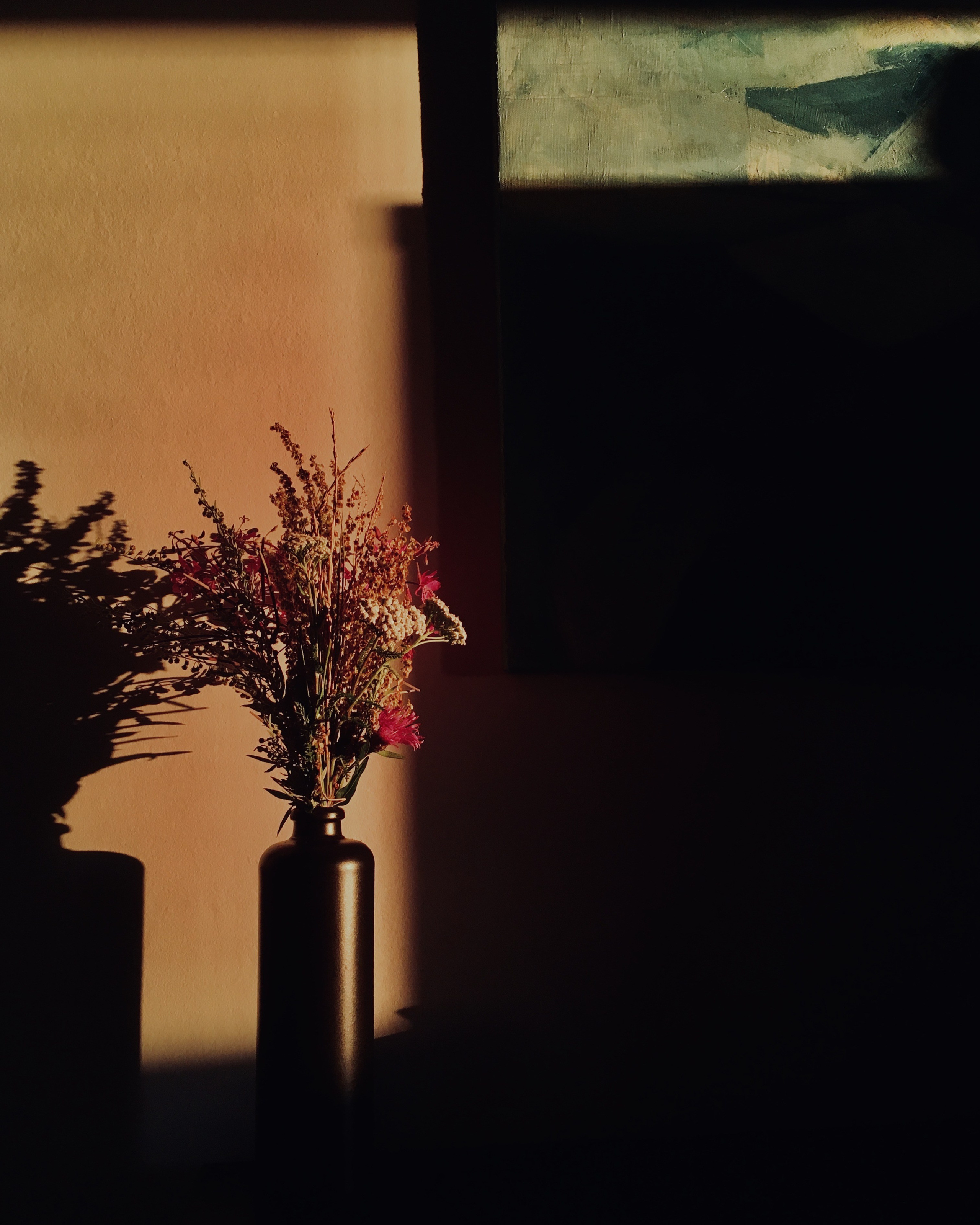 Фотографии. Детский и семейный фотограф Зоя Павкина