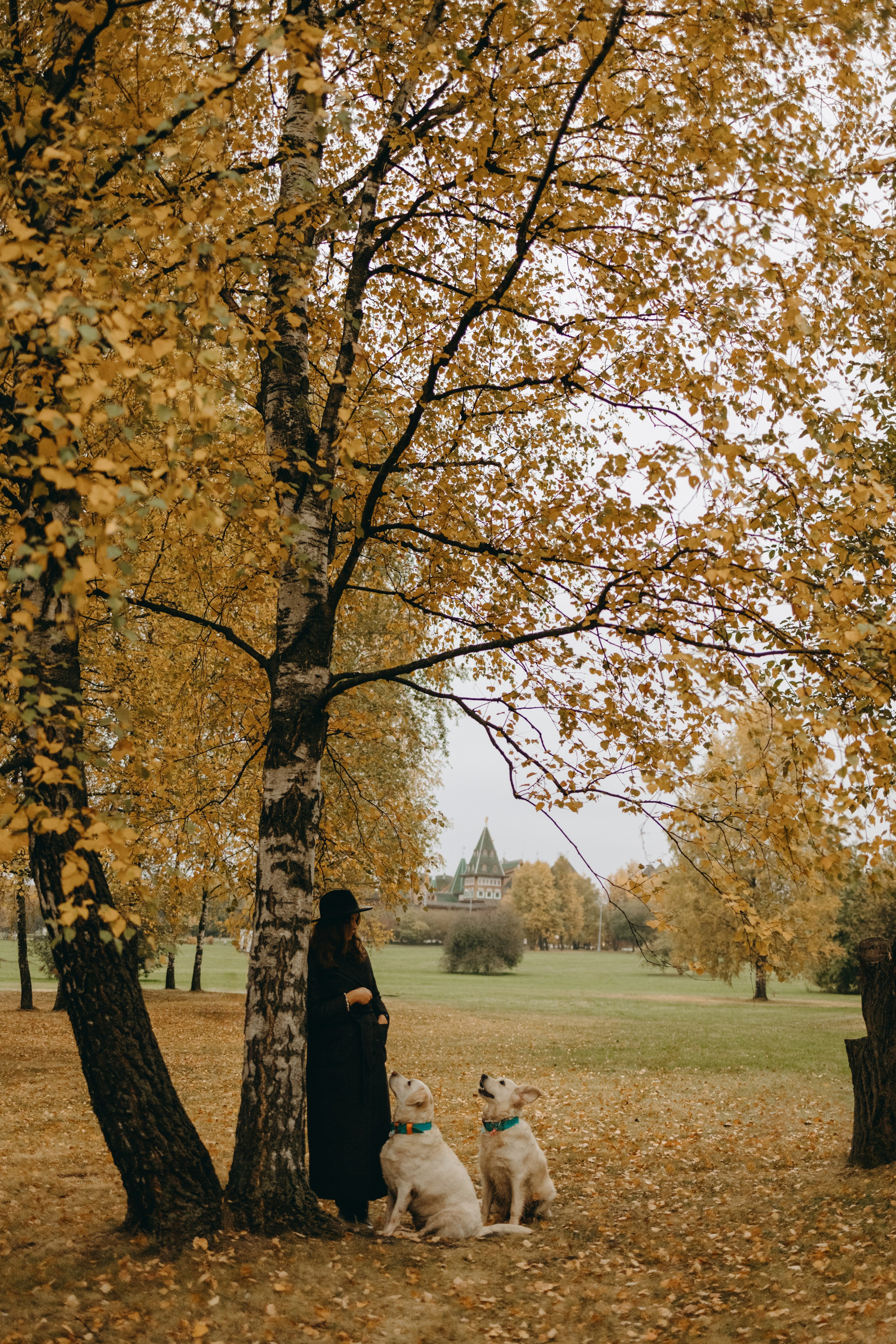 Женя и ее девочки. Фотограф — Анималист | Санкт-Петербург