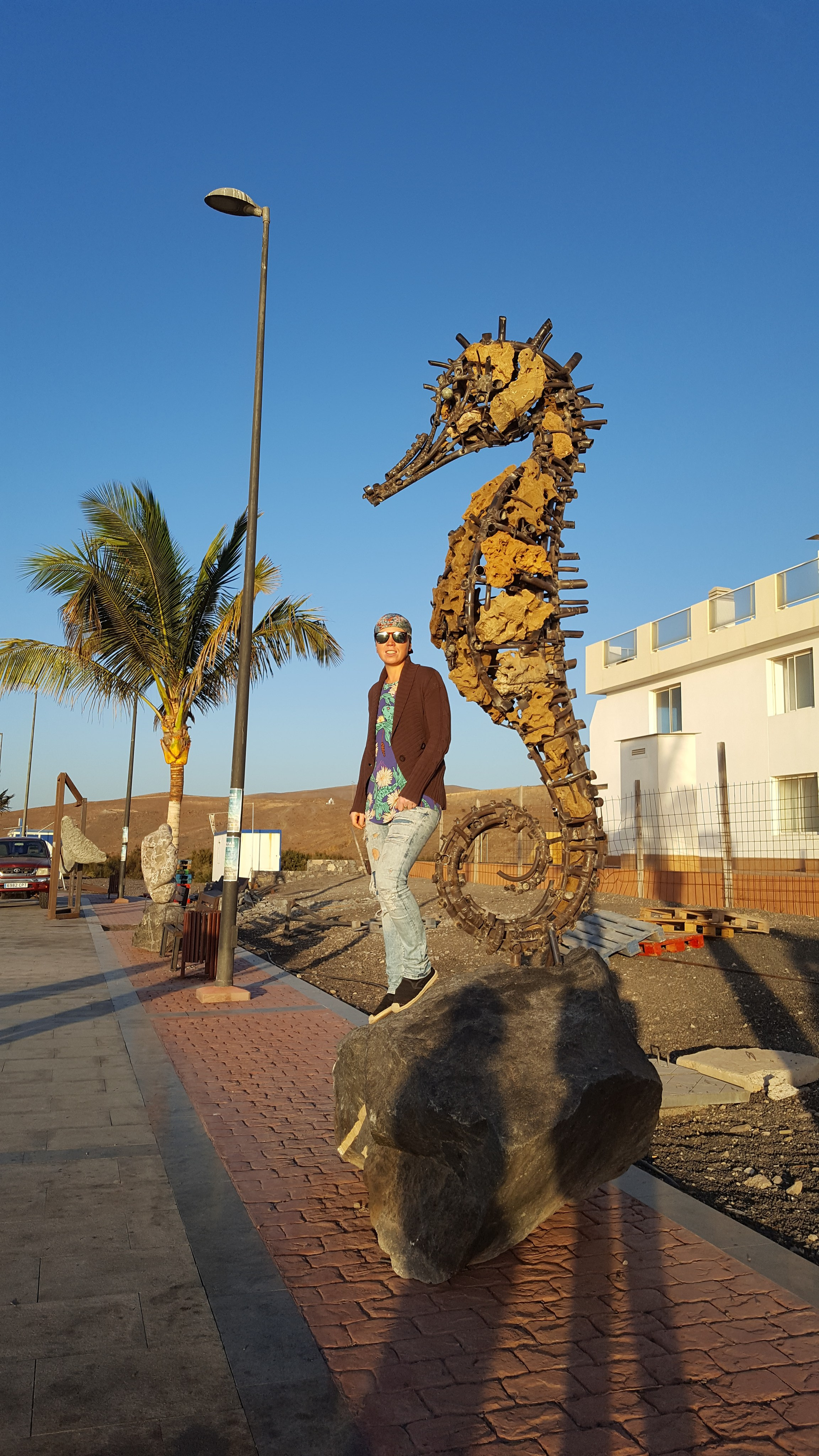 Морской конёк/Испания/Канарские о-ва/ Фуэртевентура/2017. Художник — скульптор Антонина Фатхуллина