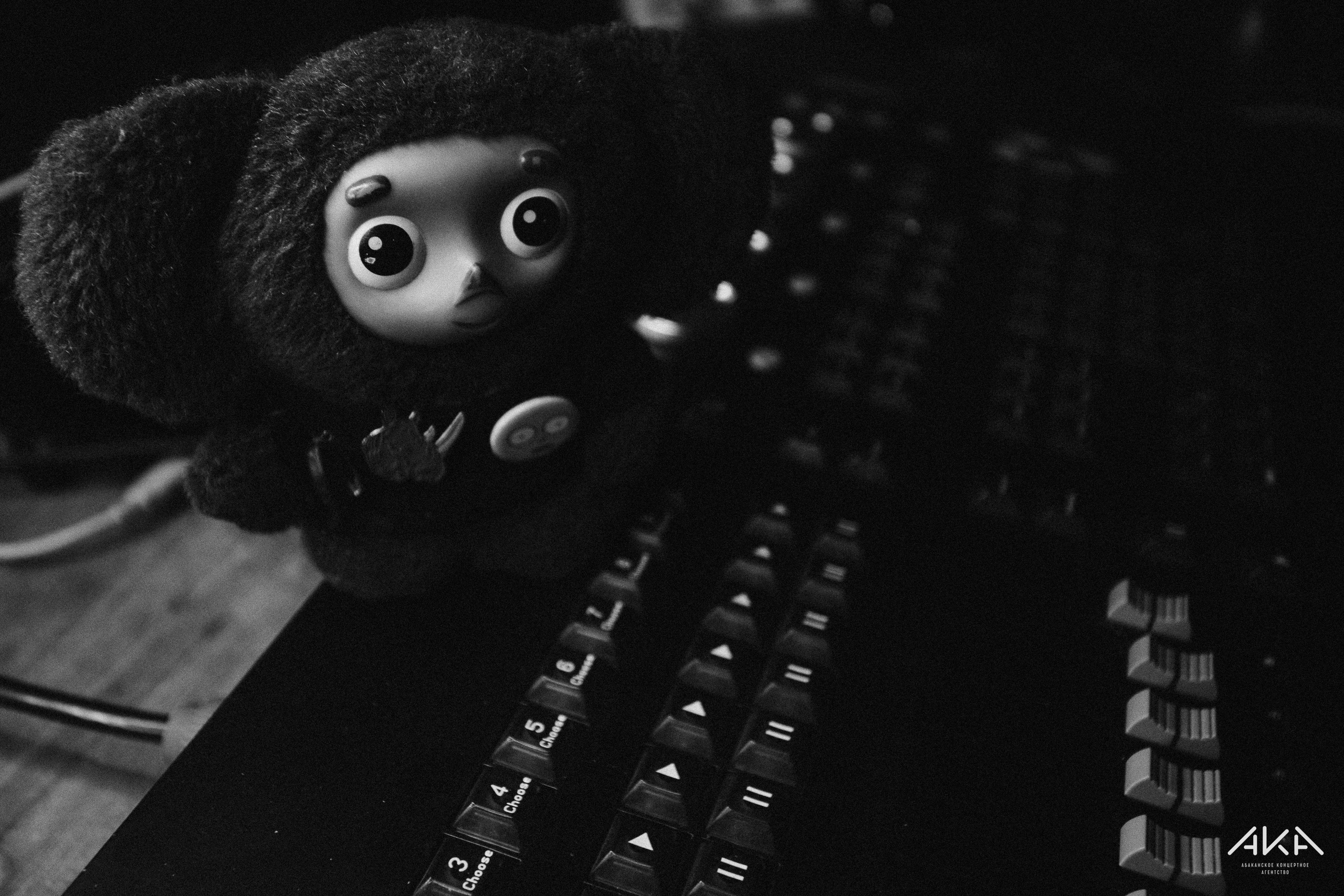 Концерт КАНГИ. Свадебный фотограф Абакан