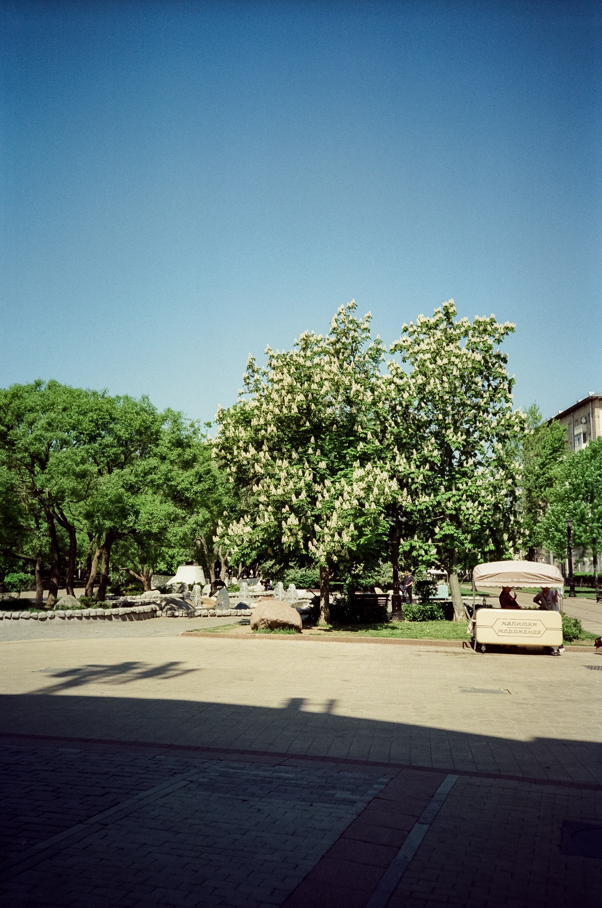 SFL 200T (Kodak Vision3 200T) примеры фотографий