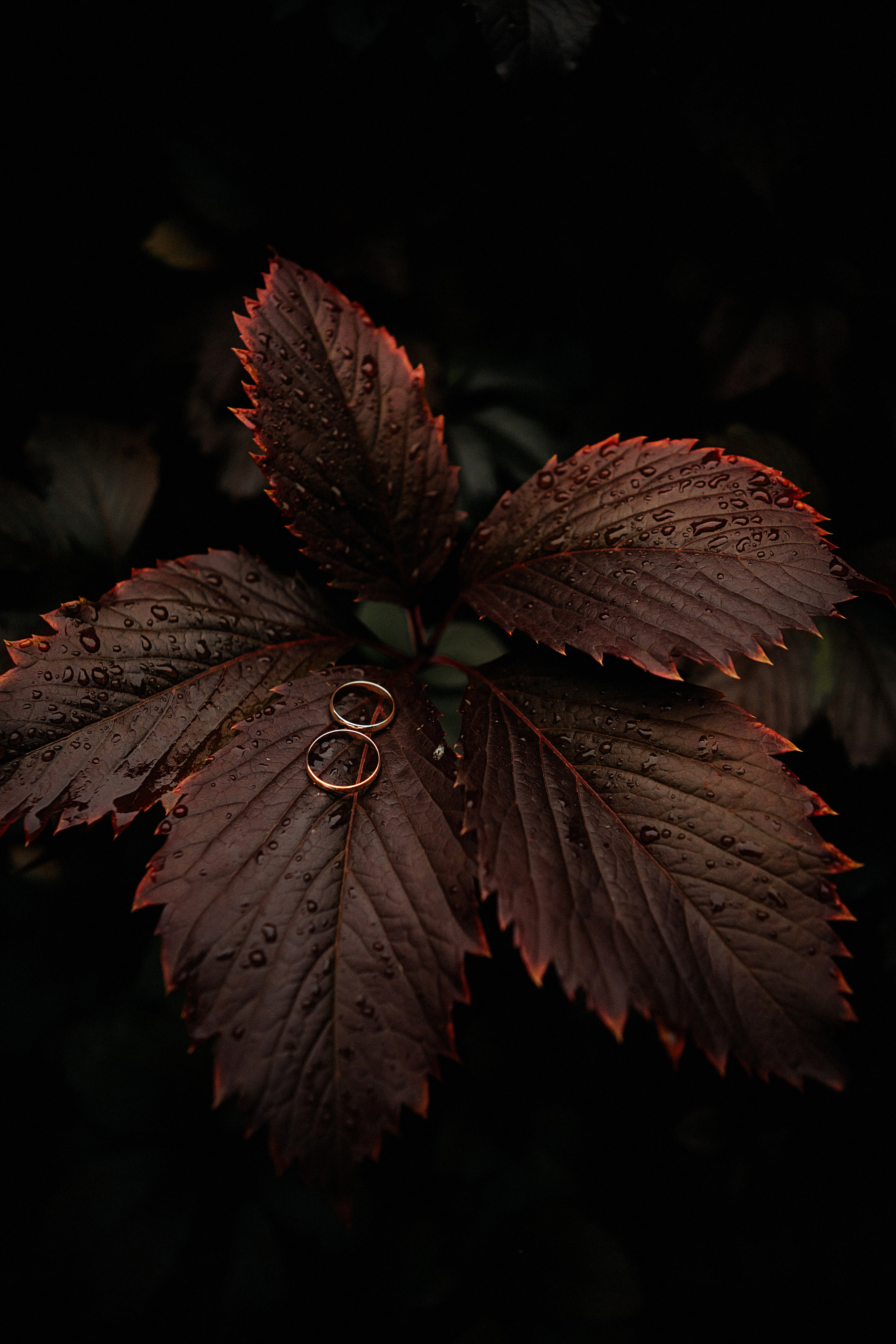 СЕРГЕЙ И АЛИНА | НИЖНИЙ НОВГОРОД. Свадебный и семейный фотограф в Нижнем Новгороде Светлана Челомбиева
