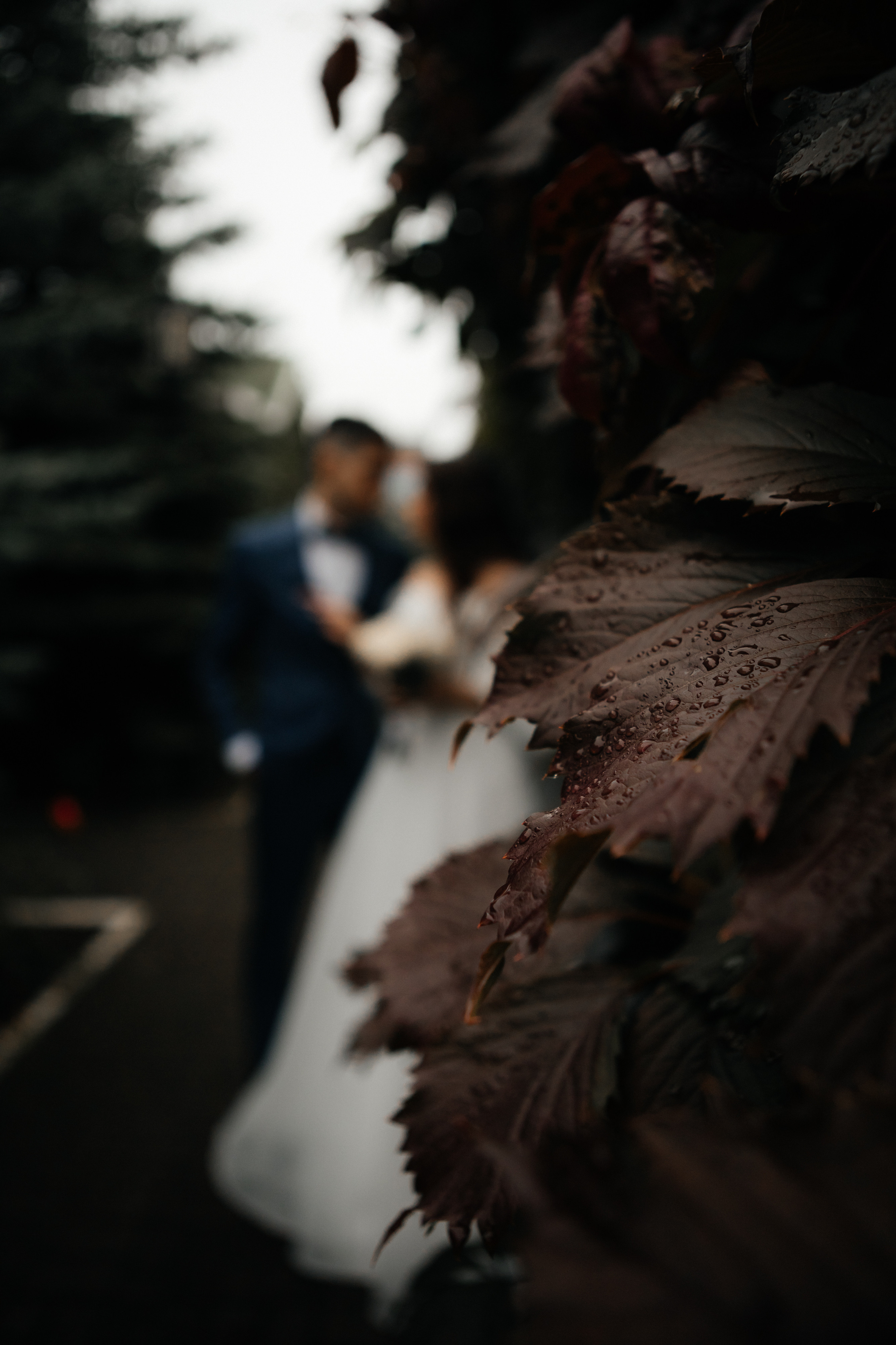 СЕРГЕЙ И АЛИНА | НИЖНИЙ НОВГОРОД. Свадебный и семейный фотограф в Нижнем Новгороде Светлана Челомбиева