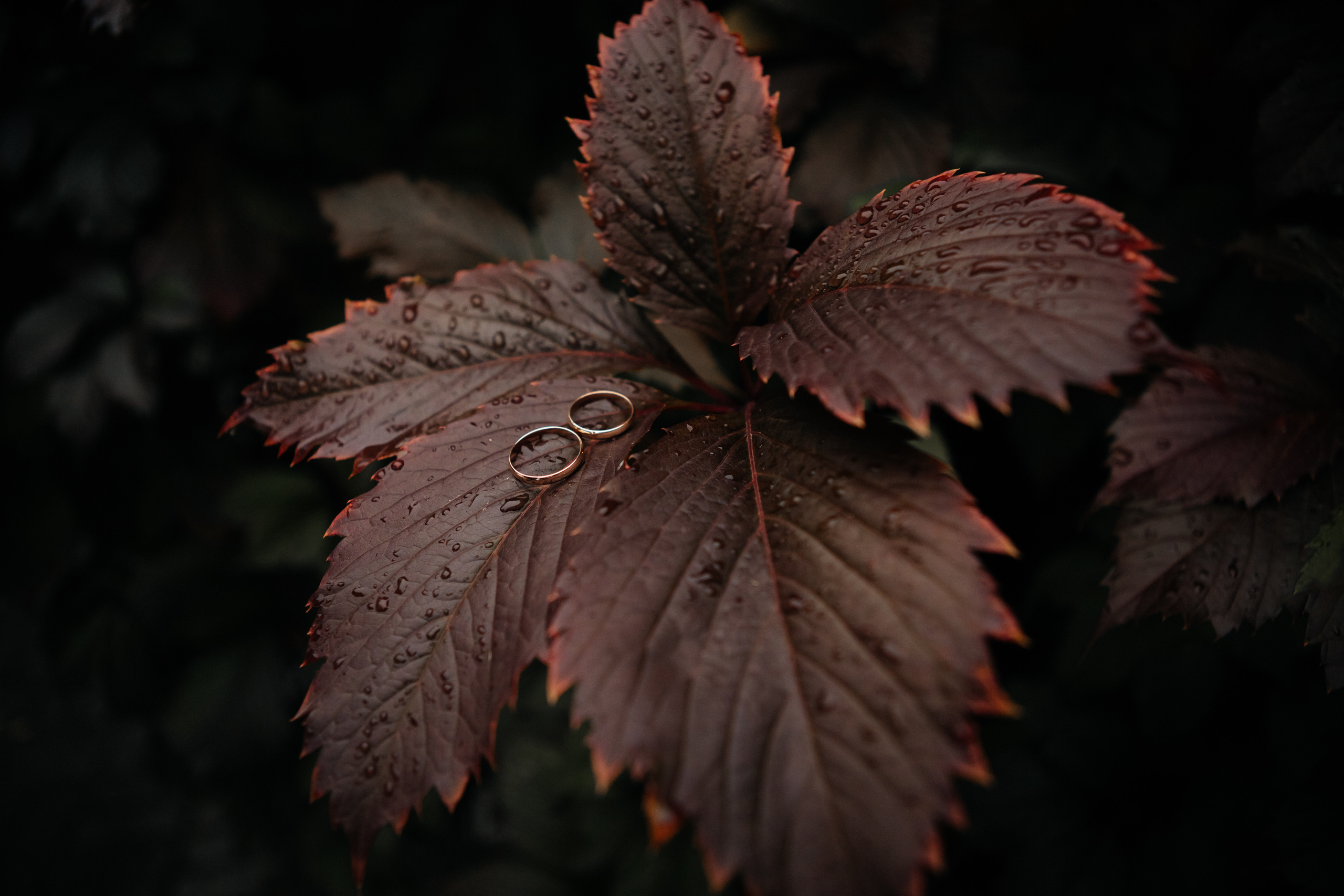СЕРГЕЙ И АЛИНА | НИЖНИЙ НОВГОРОД. Свадебный и семейный фотограф в Нижнем Новгороде Светлана Челомбиева