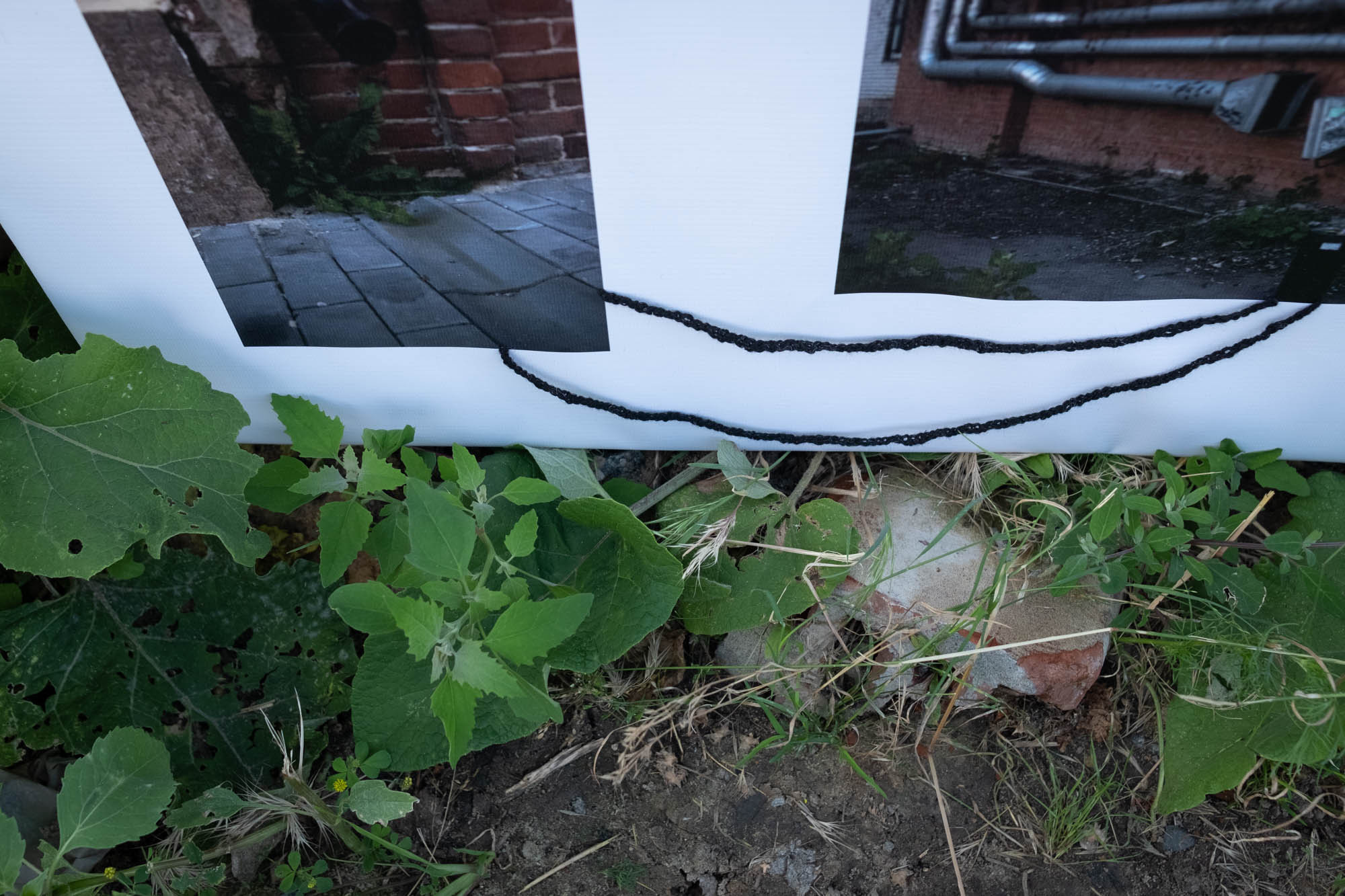 Улица Платонова. «ФотоСинтез»