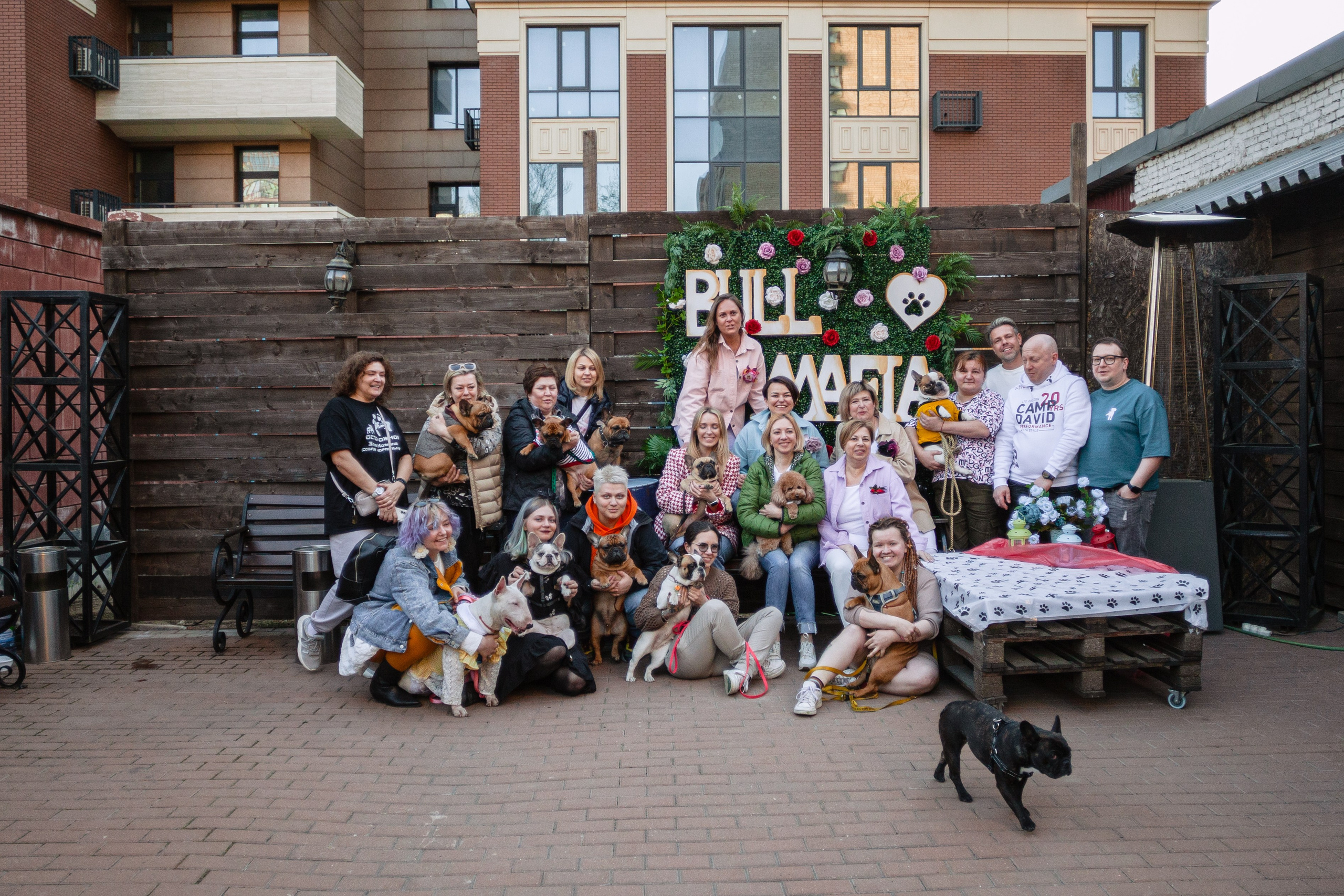 Бульбалл 23.04.2023. Фотограф-анималист Татьяна Степанова