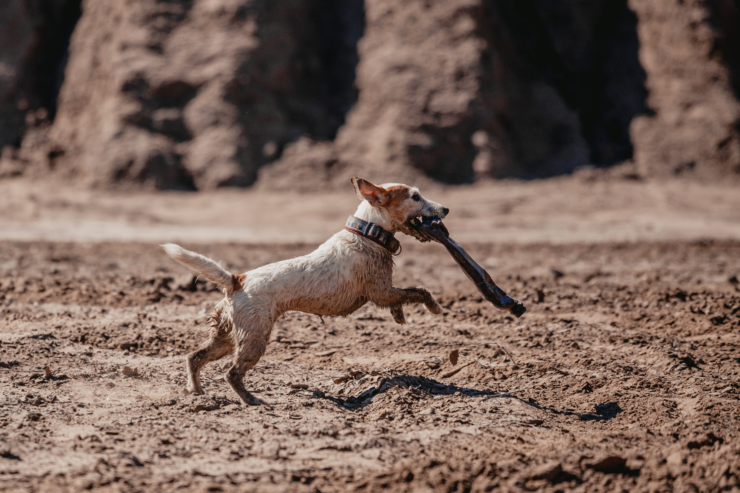 Кондуки. Фотограф-анималист Татьяна Степанова