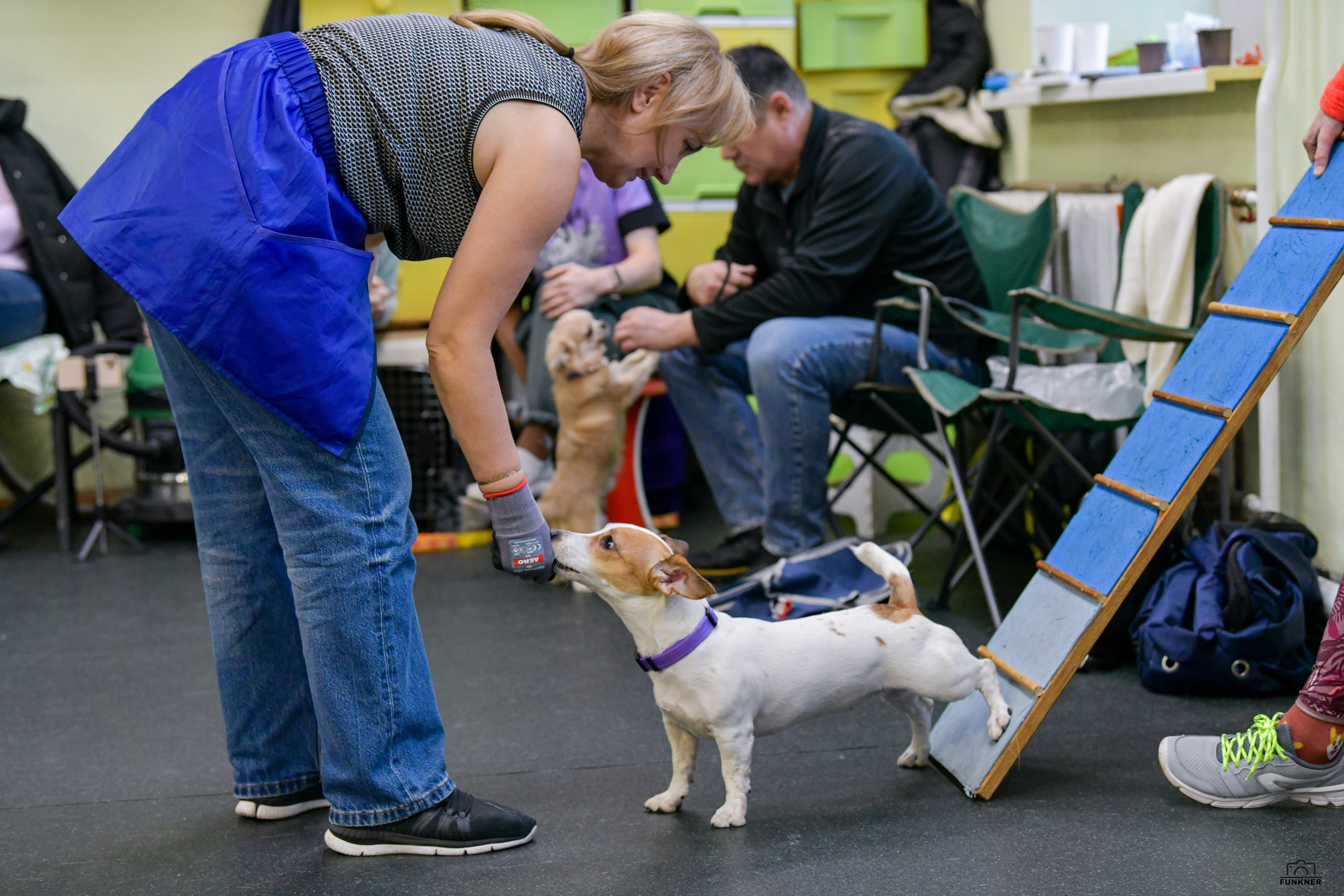 Кинологический клуб «Бодрый хвост». Свой взгляд через объектив