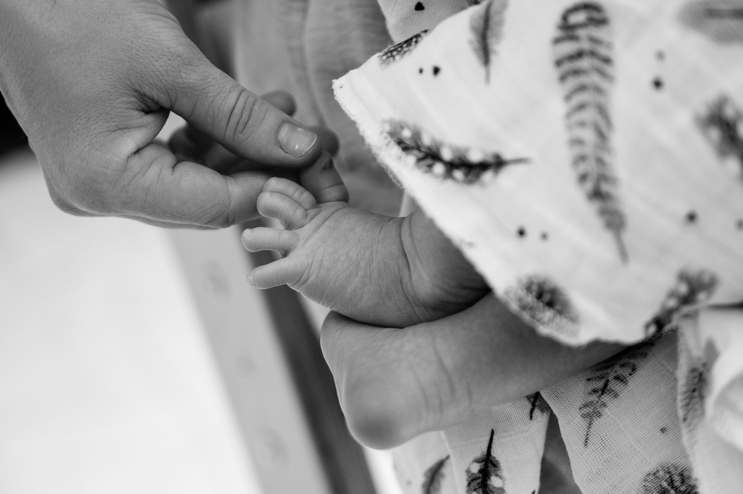 Мальчишки. Свадебный, семейный и репортажный фотограф. Брянск. Эльвира Голенкова