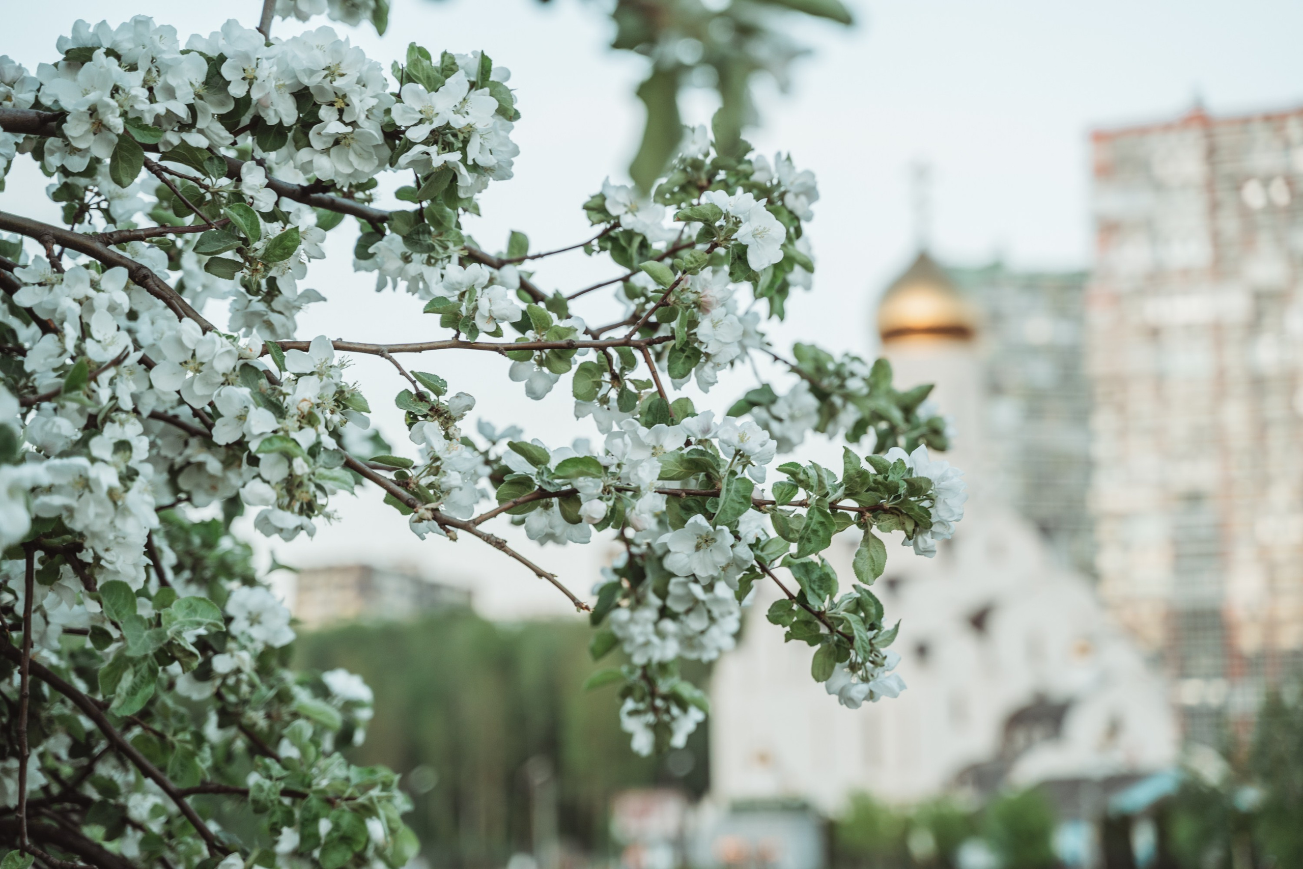Портретный фотограф Санкт-Петербург. Свадебный, семейный, портретный, репортажный фотограф в Санкт-Петербурге