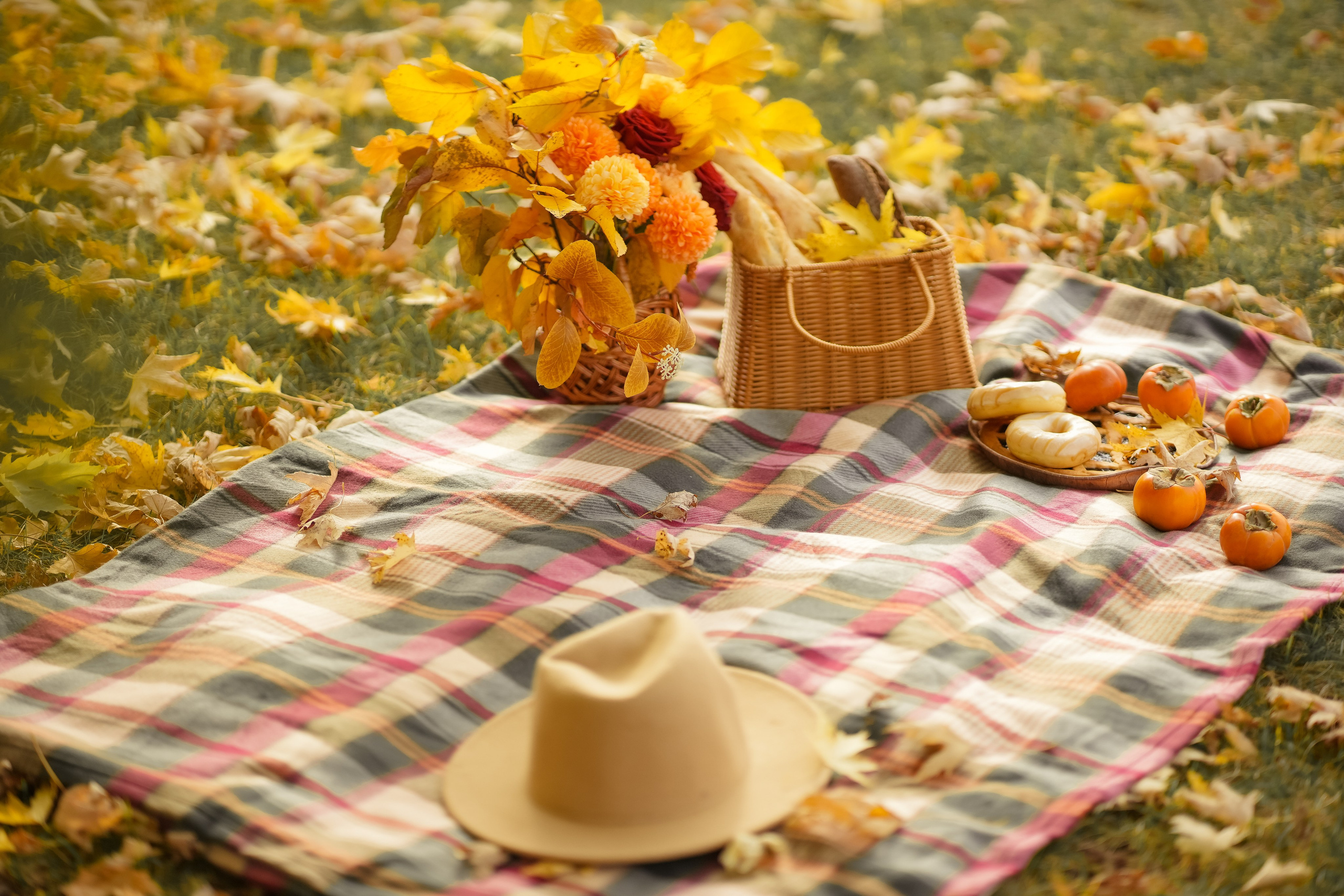 Пикник в парке золотая осень
