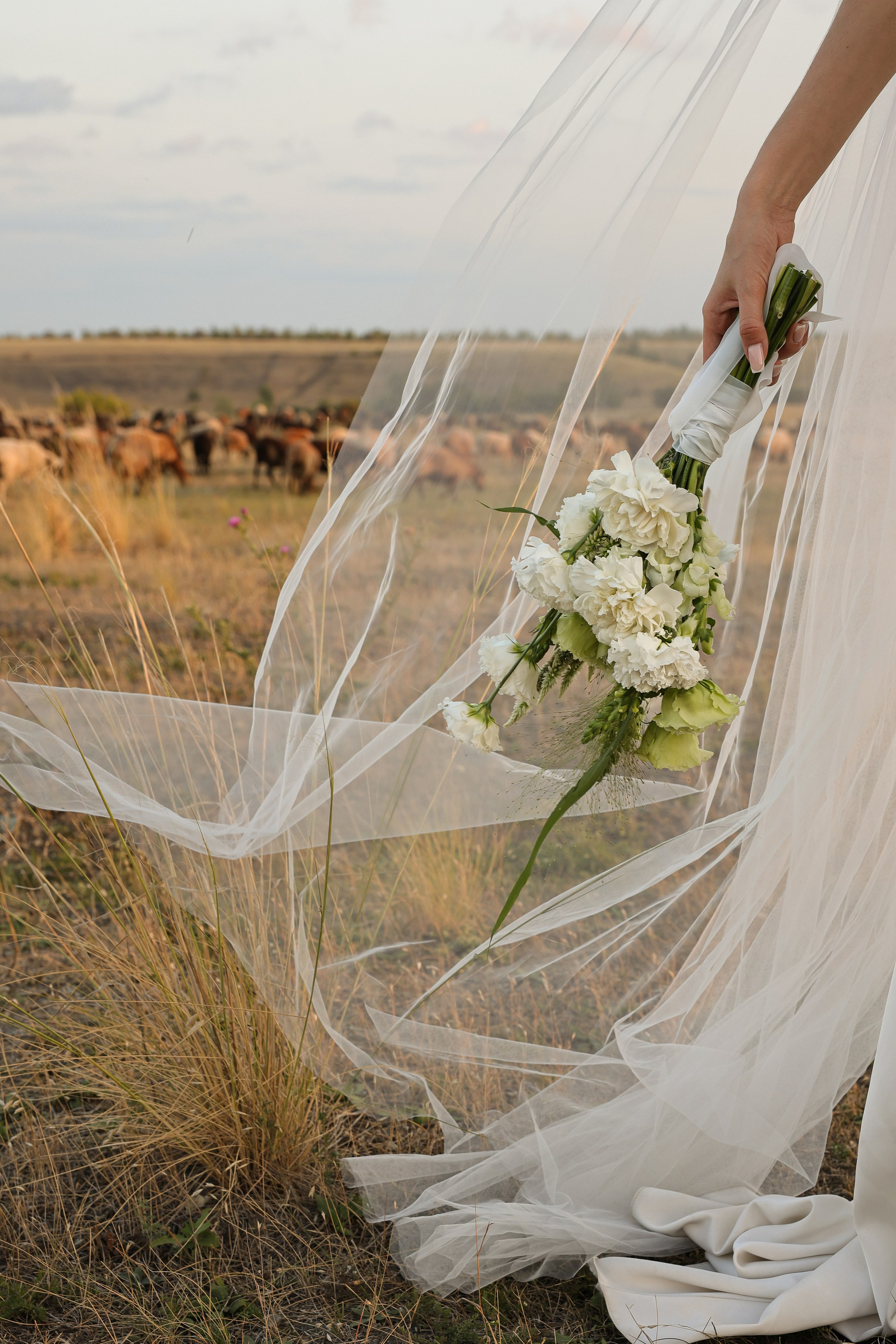 Матвей и Алина. Анастасия Камал. Фотограф Саратов