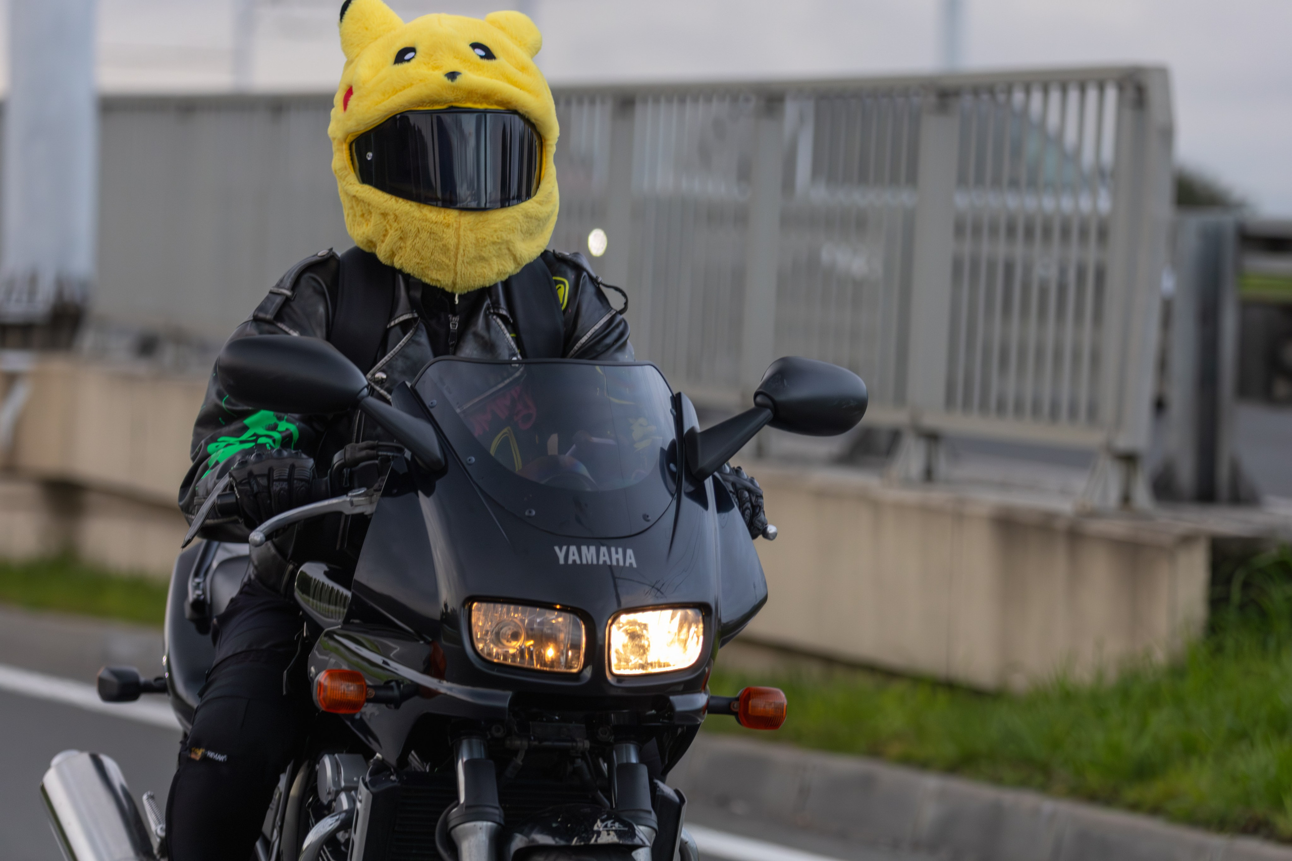 Закрытие Летнего сезона — 2025. — Digital Noise —