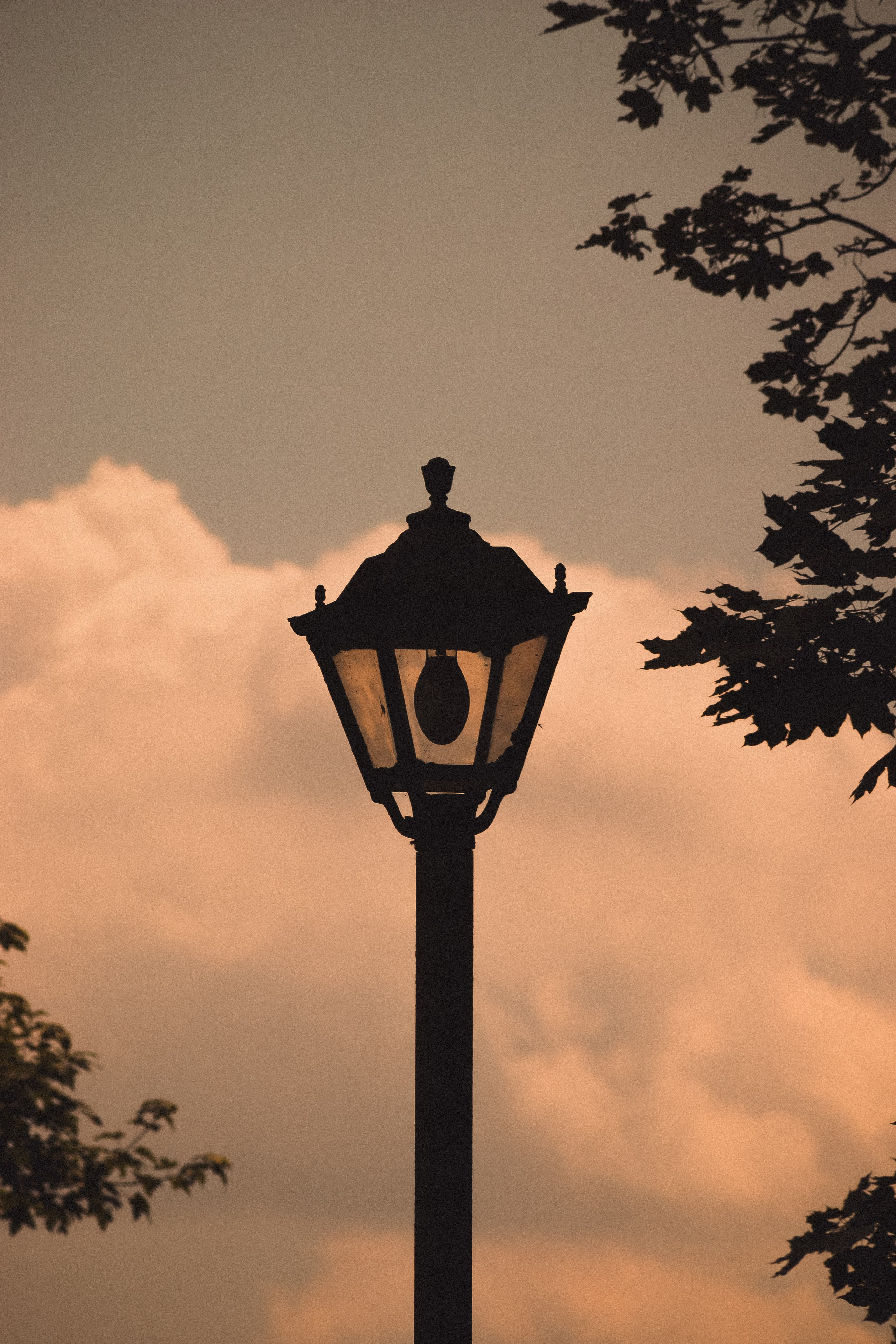 С Е П И Я. — Digital Noise —