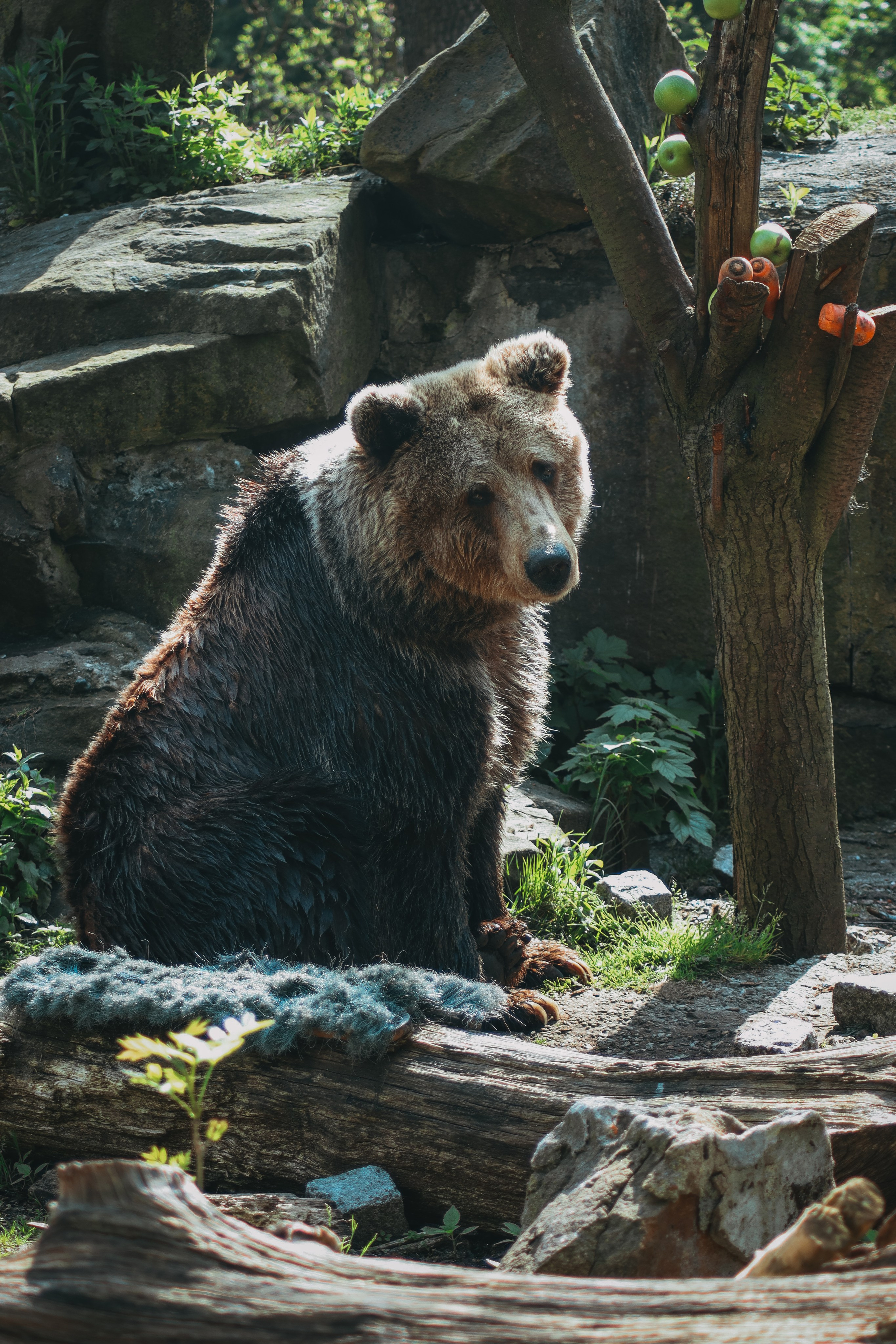 Р А З Н А Я — Ж И В Н О С Т Ь. — Digital Noise —