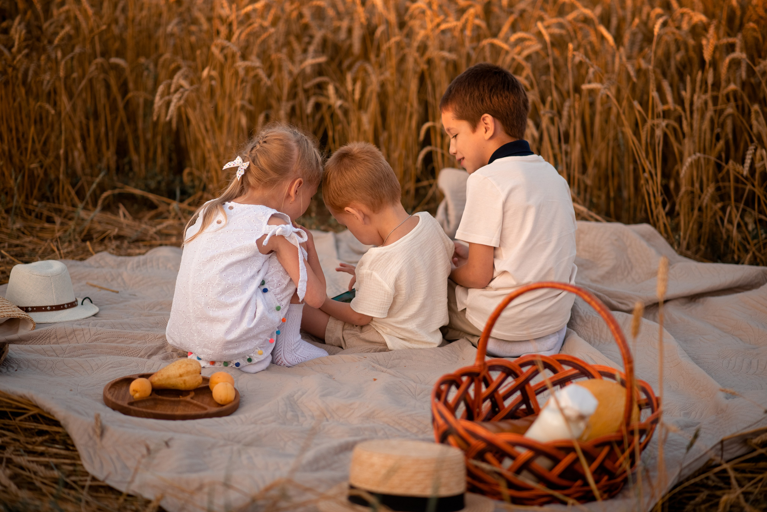 Семейная фотосессия в пшеничном поле. Семейный и детский фотограф в Туле Светлана Воронкова