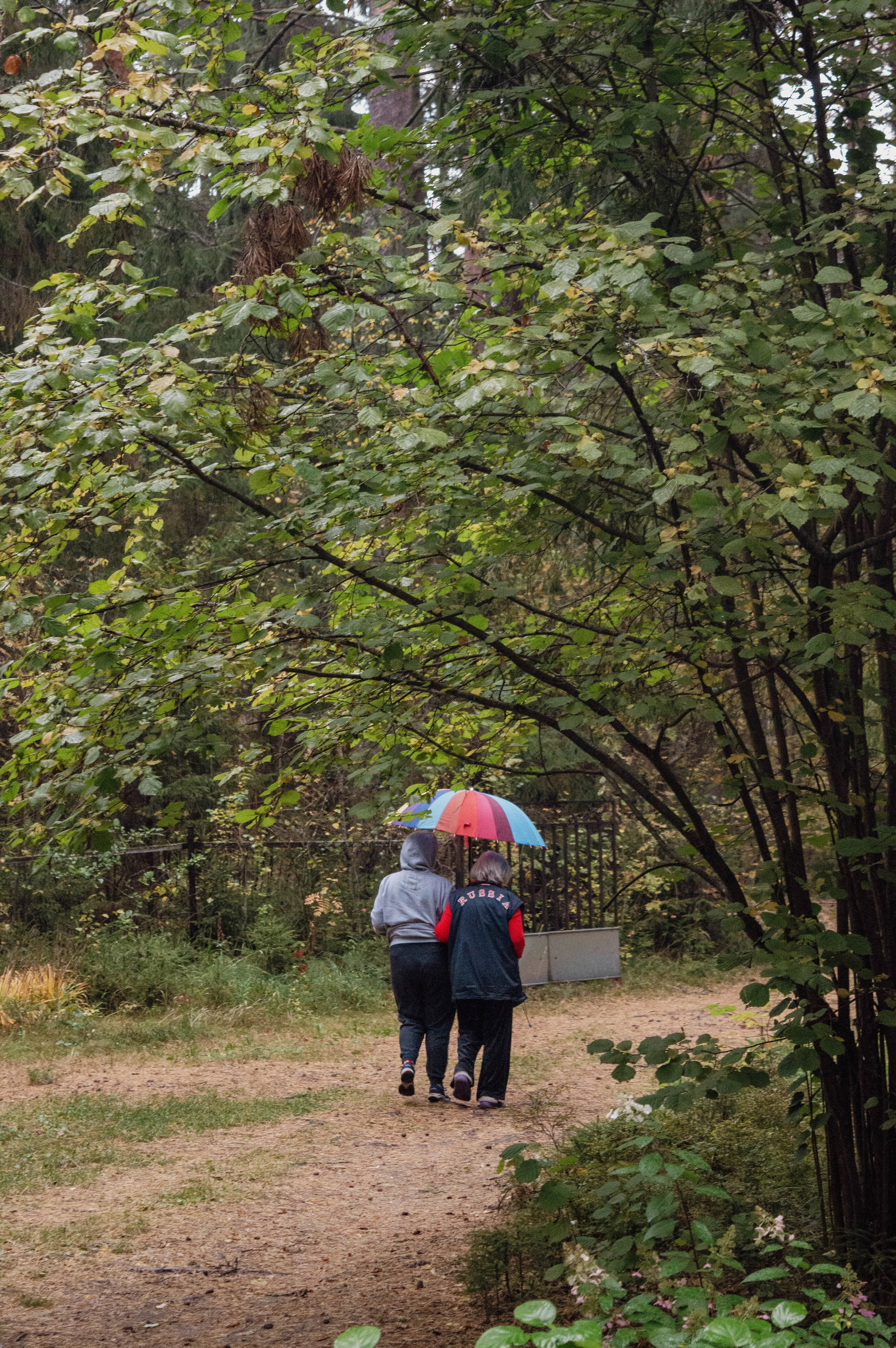 Weekend в лесу. Фотограф Анастасия Лощакова в Москве