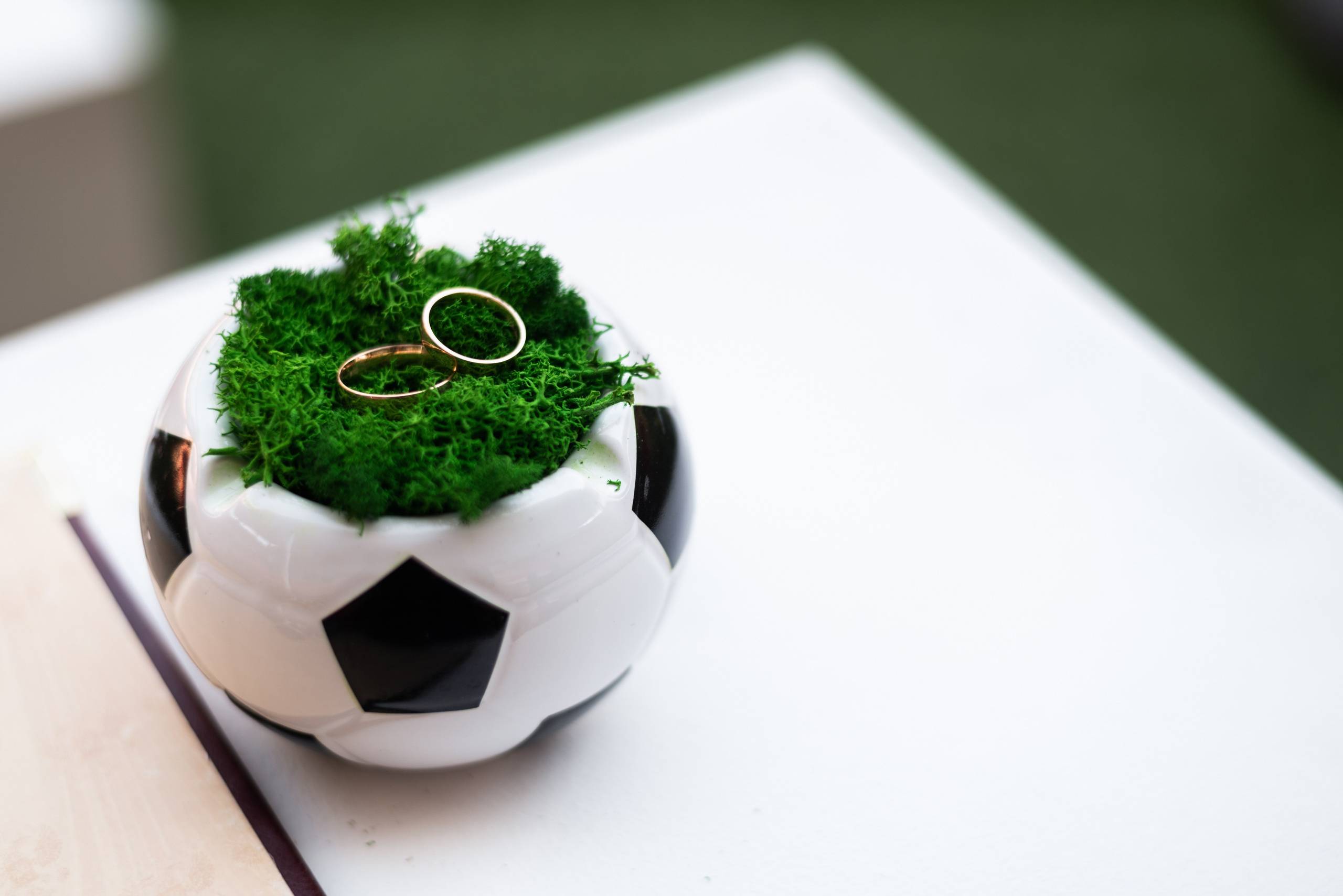 Регистрация на стадионе. Event photographer from Moscow