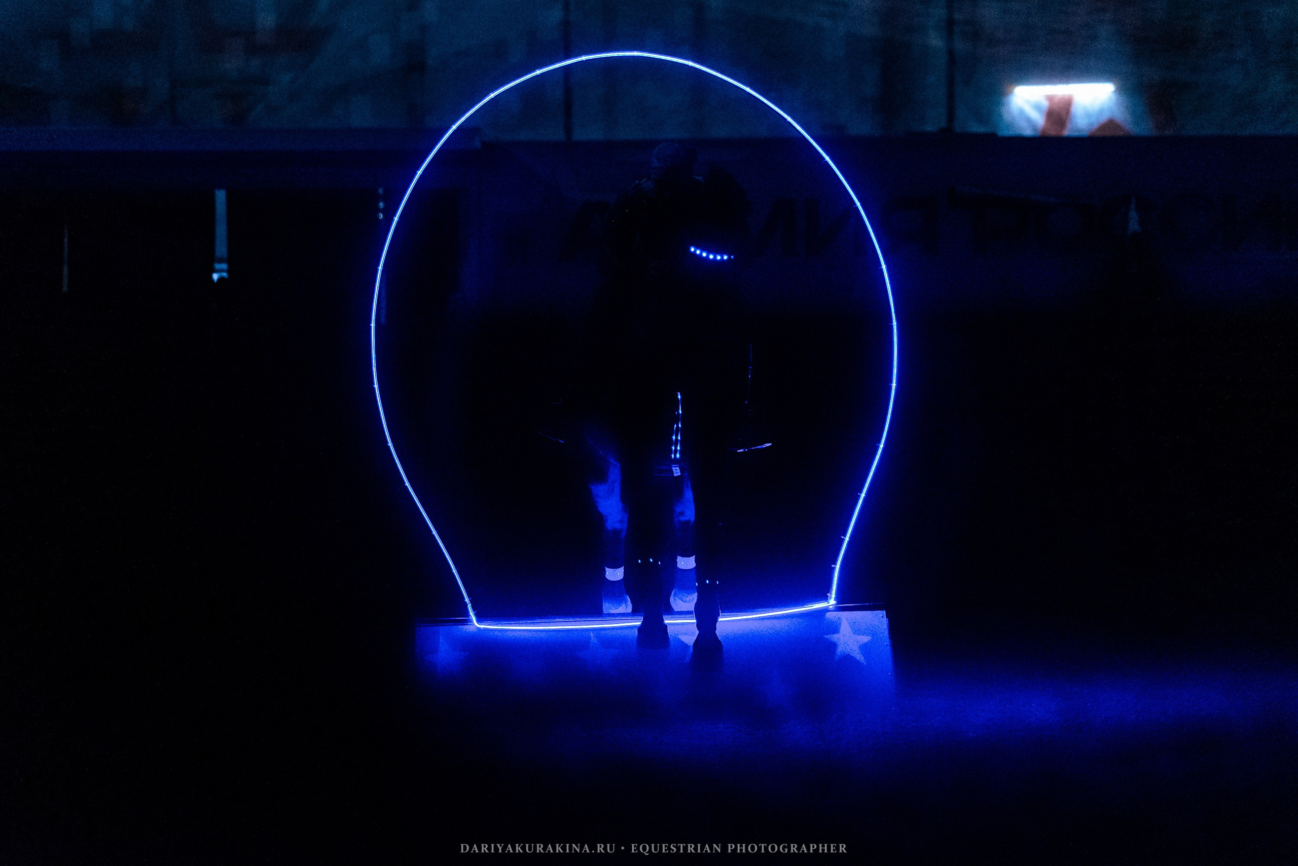 Конное представление «Дыхание Звёзд». Конный фотограф Куракина Дарья • Фотосессии с лошадьми