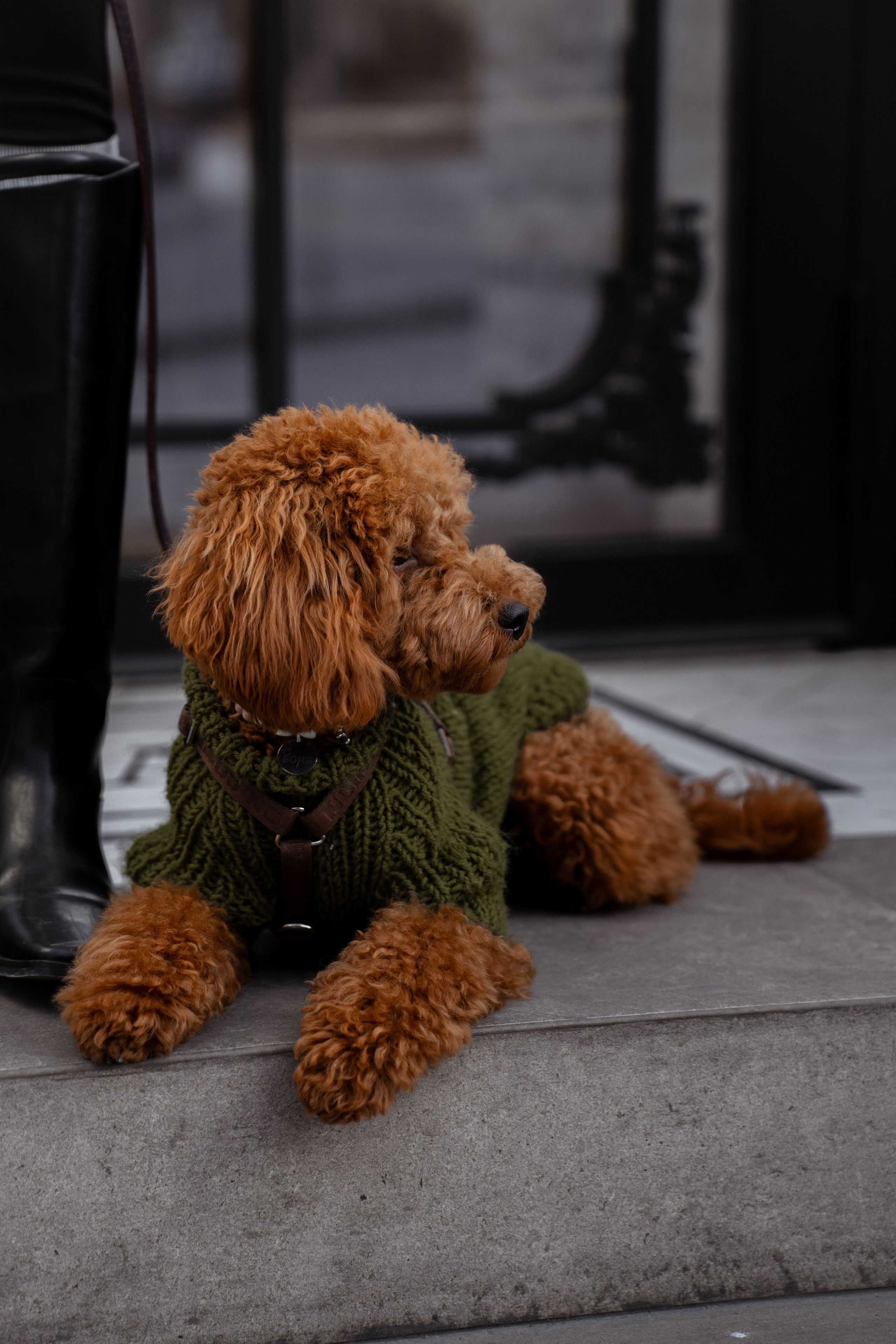 Таня и Боня. Фотограф Севастополь — Климова Анастасия
