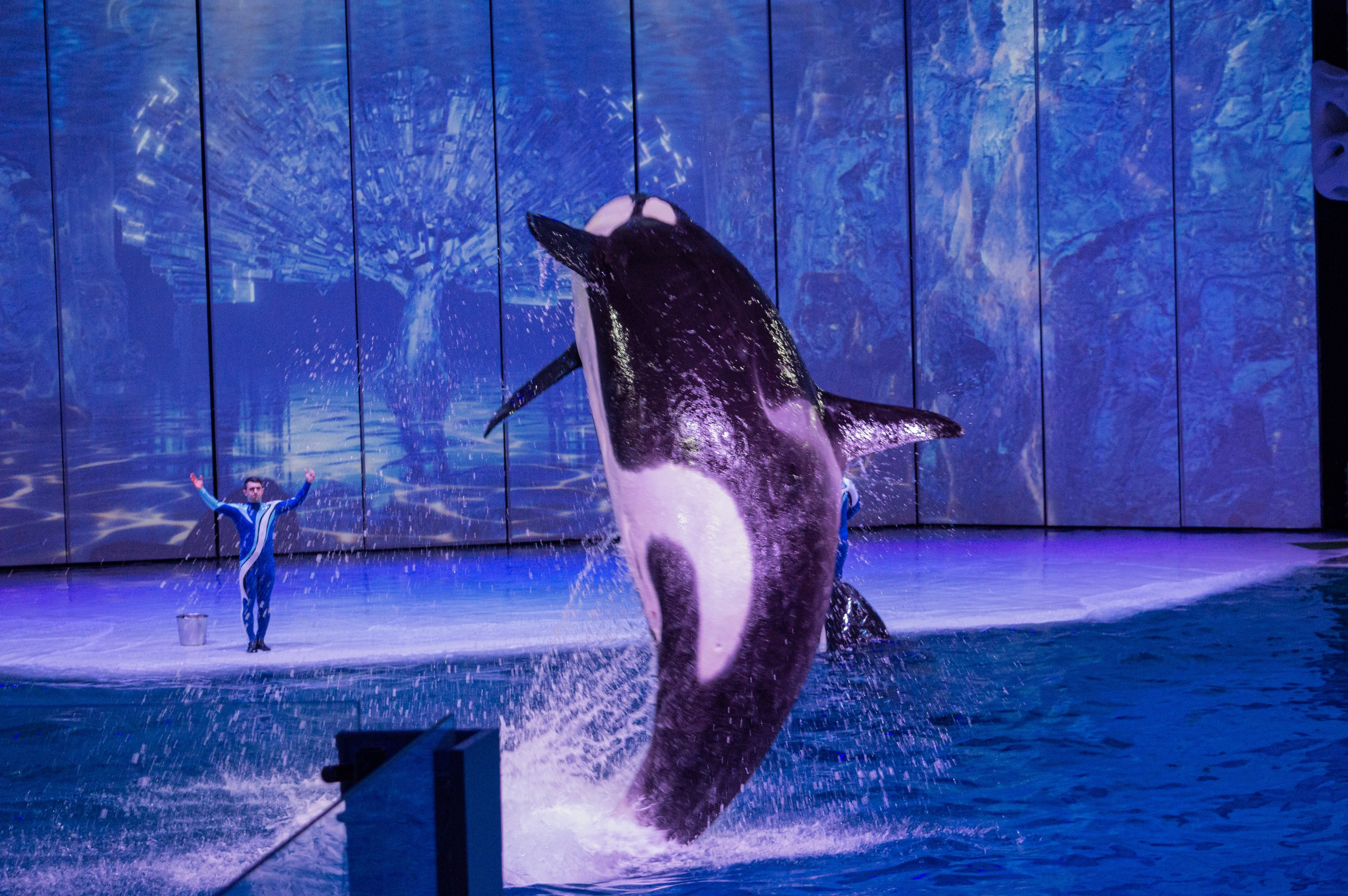 Репортажный фотограф Постникова Елизавета