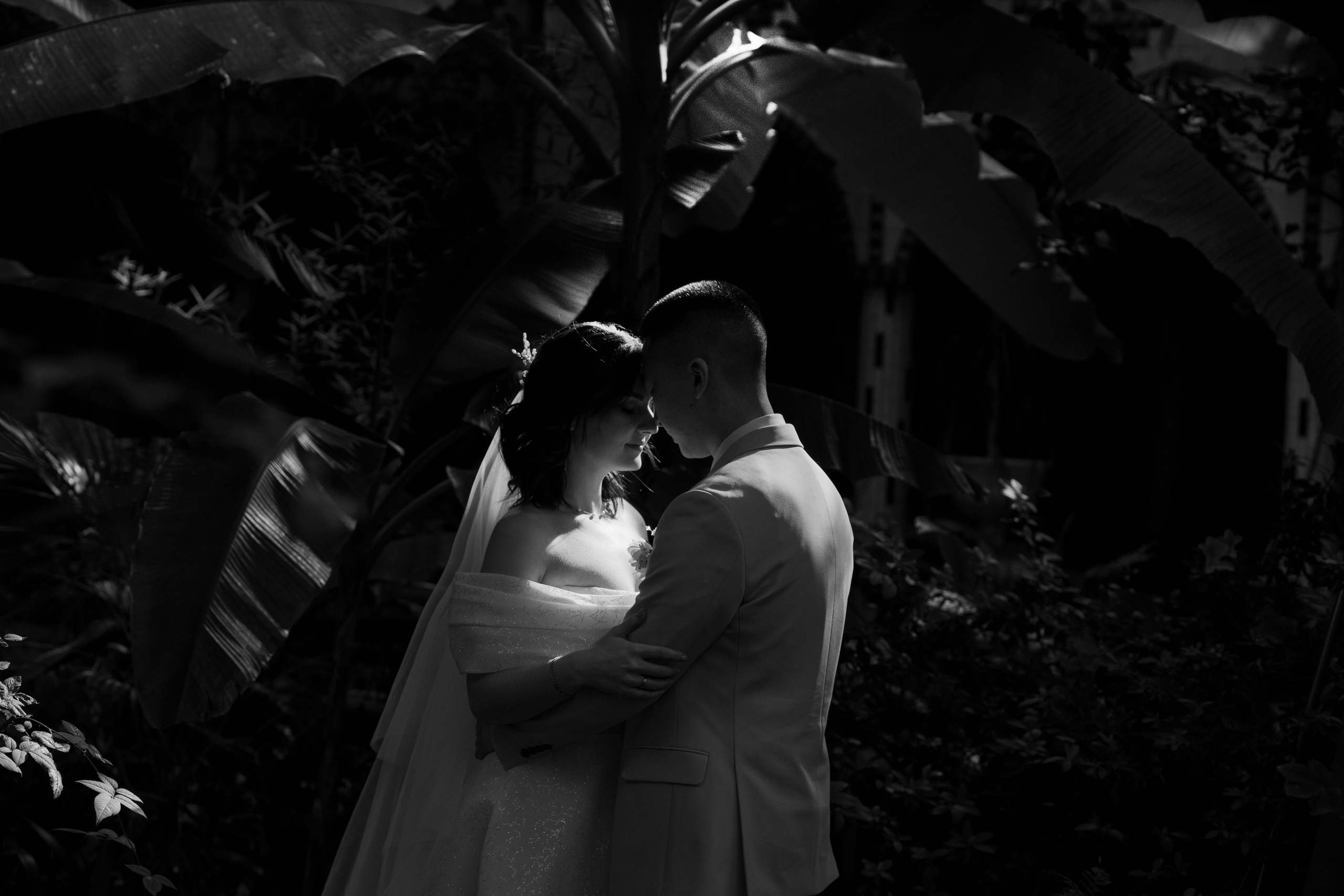 Свадьба | Илья Ксения — 2025