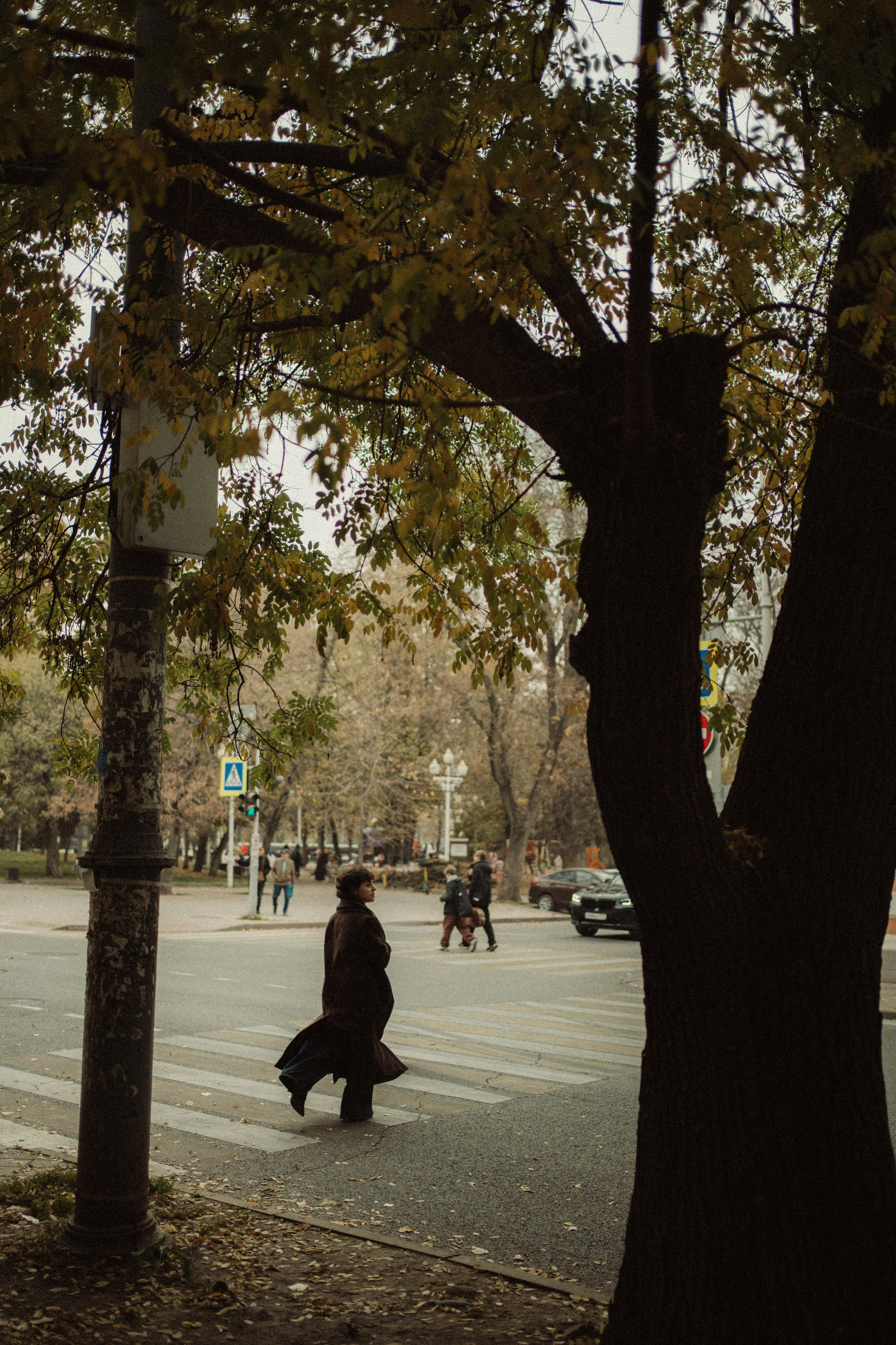 Настя. Семейный фотограф в Краснодаре