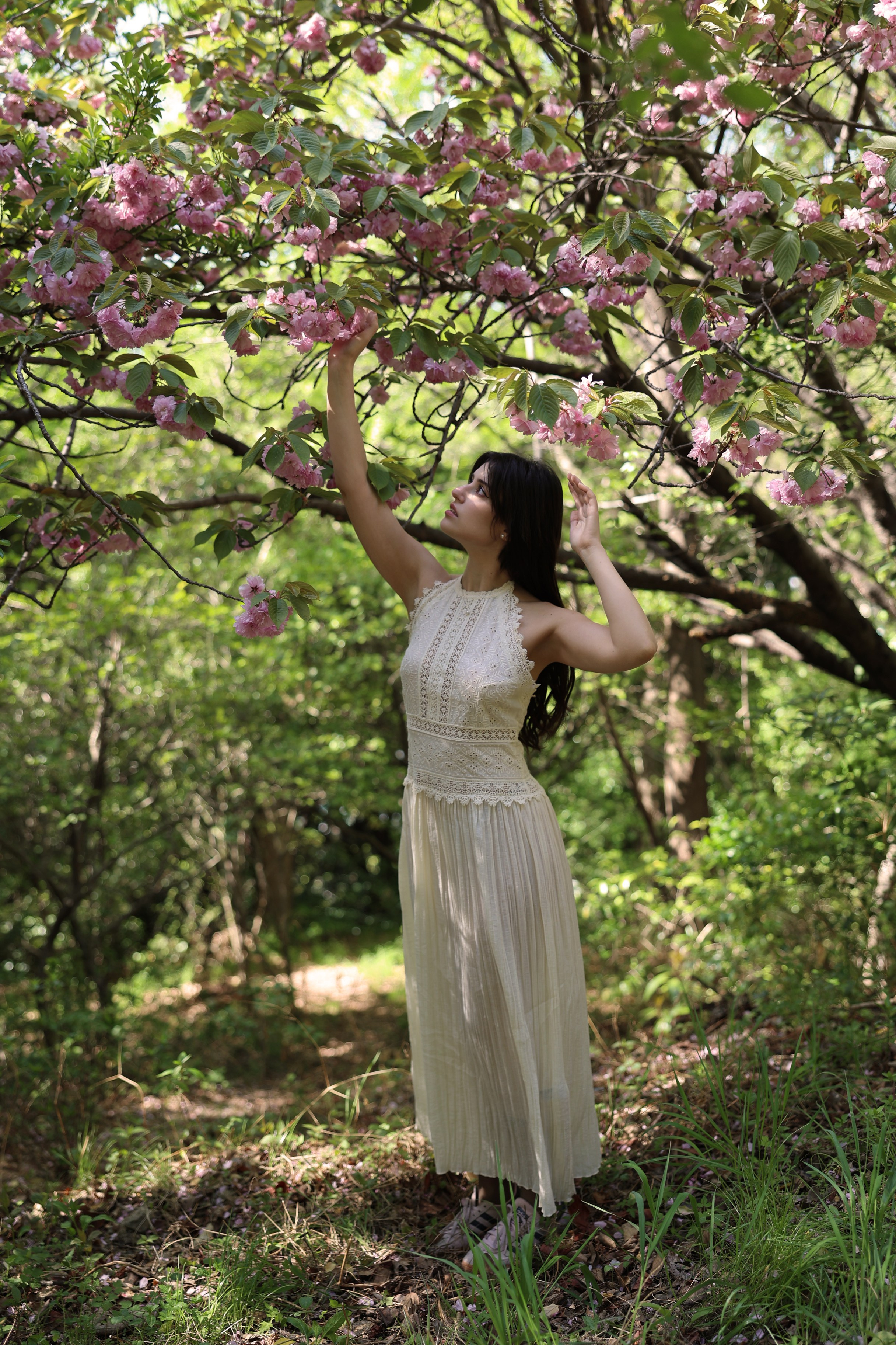 Busan Photographer. Photographer in Busan | Royal Cherry Blossom Solo Photoshoot