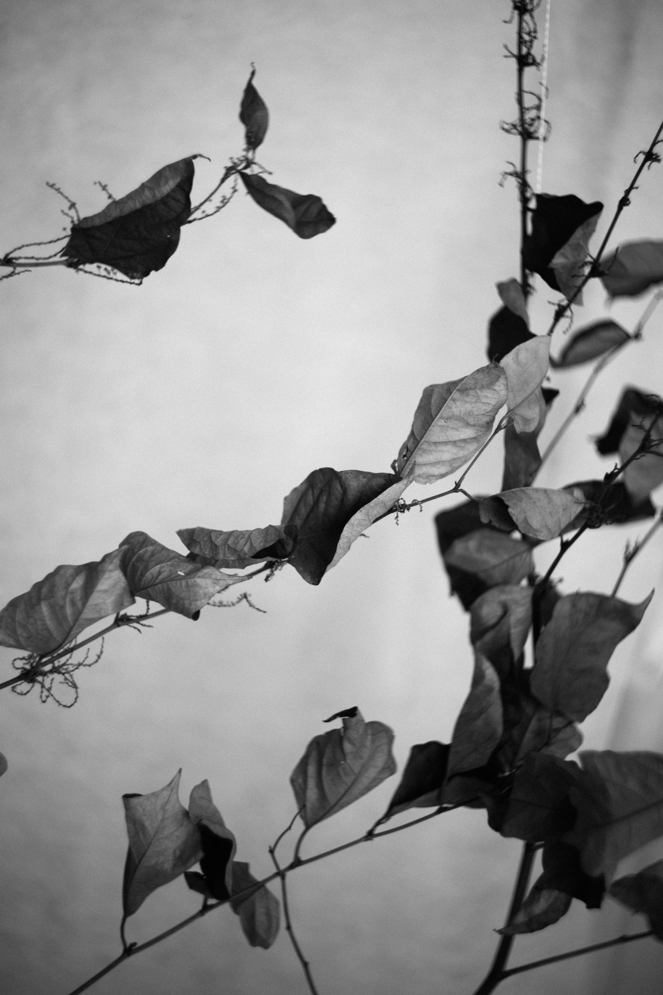 ДОМАшняя фотостудия. Фотограф в Нижнем Новгороде