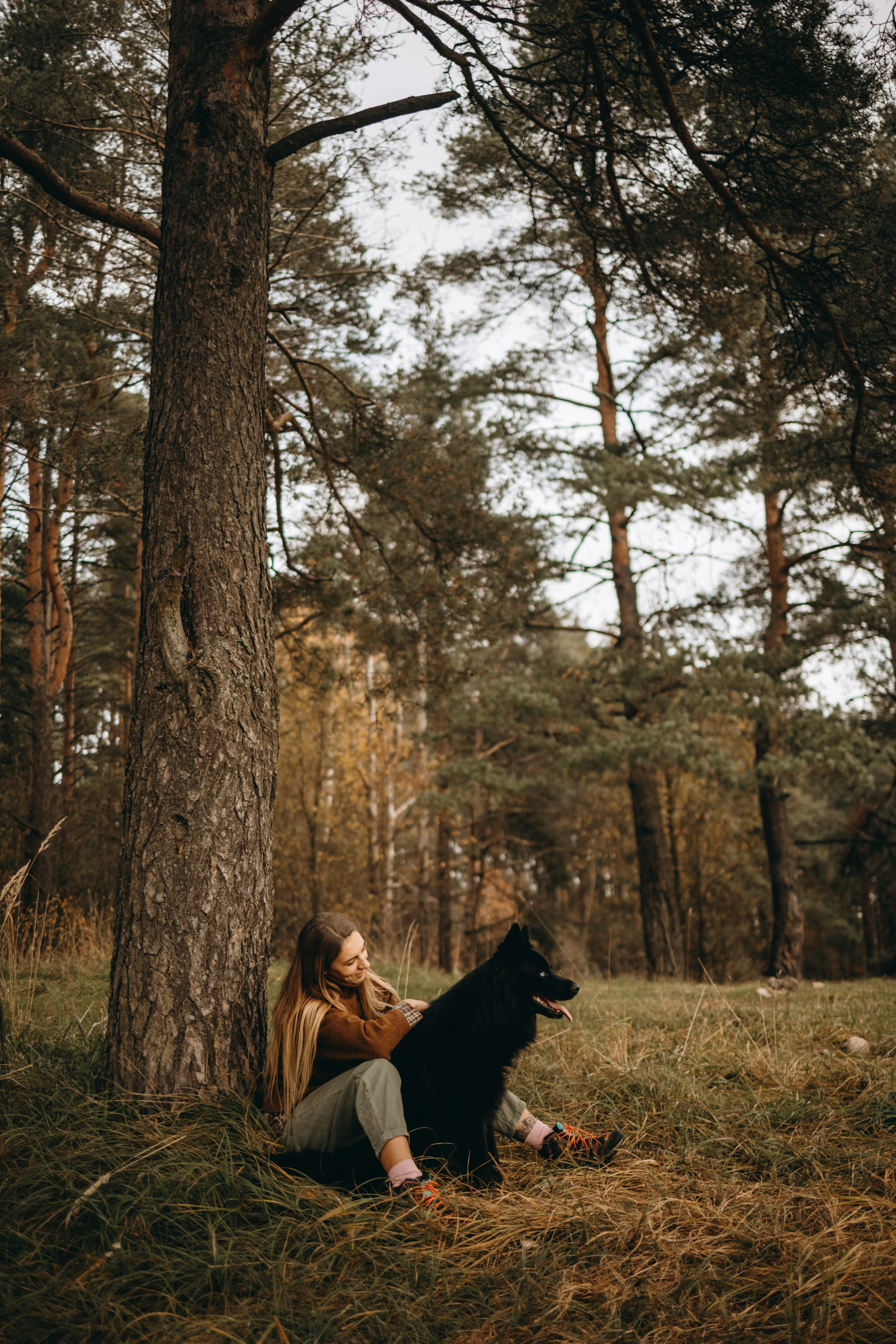 Лора и Джанго. Фотограф — Анималист | Санкт-Петербург