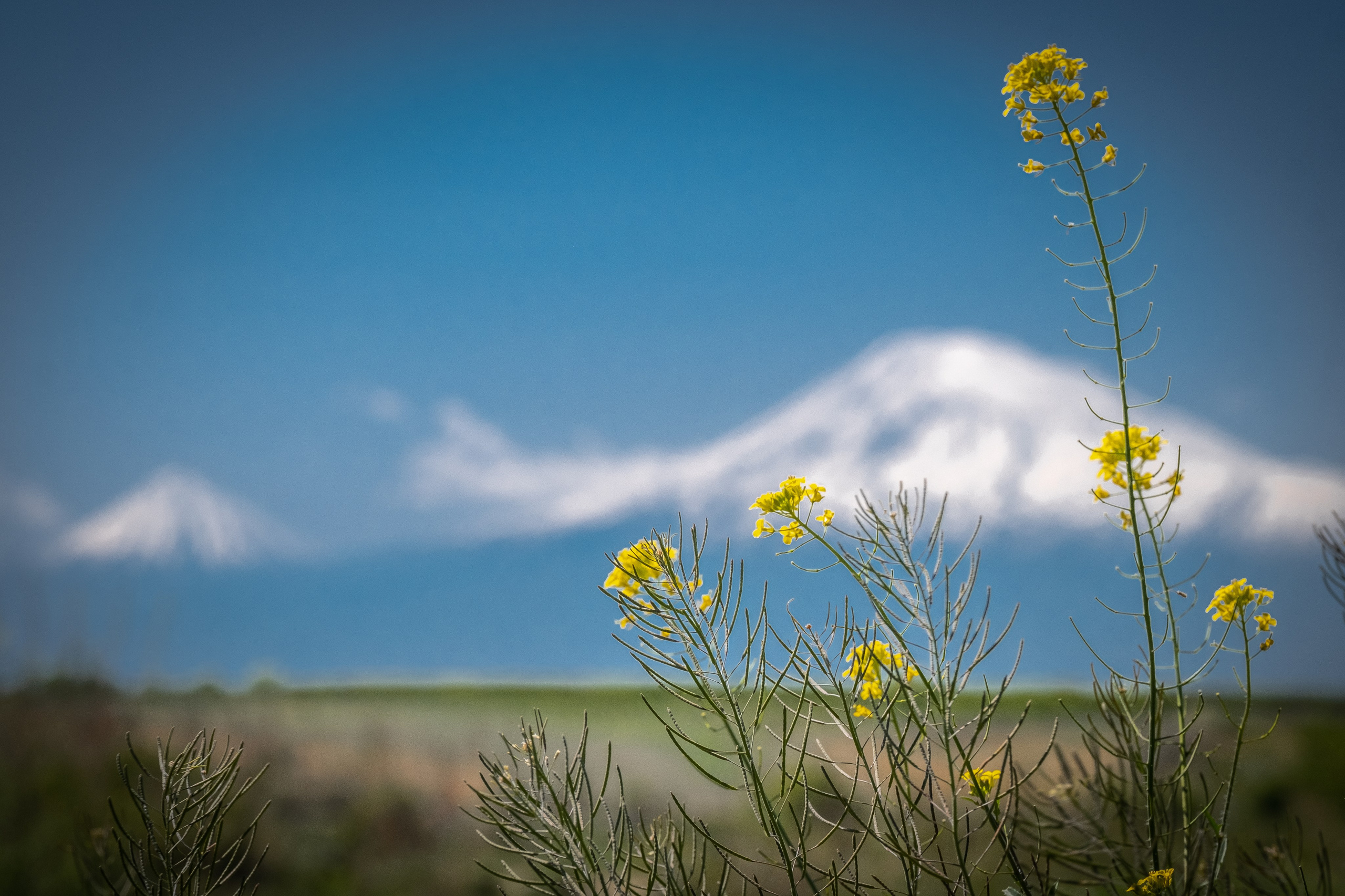 АРМЕНИЯ. ПОБУДЬ ЗДЕСЬ И ЦЕЛЕЕ БУДЕТ ЭТОТ МИР