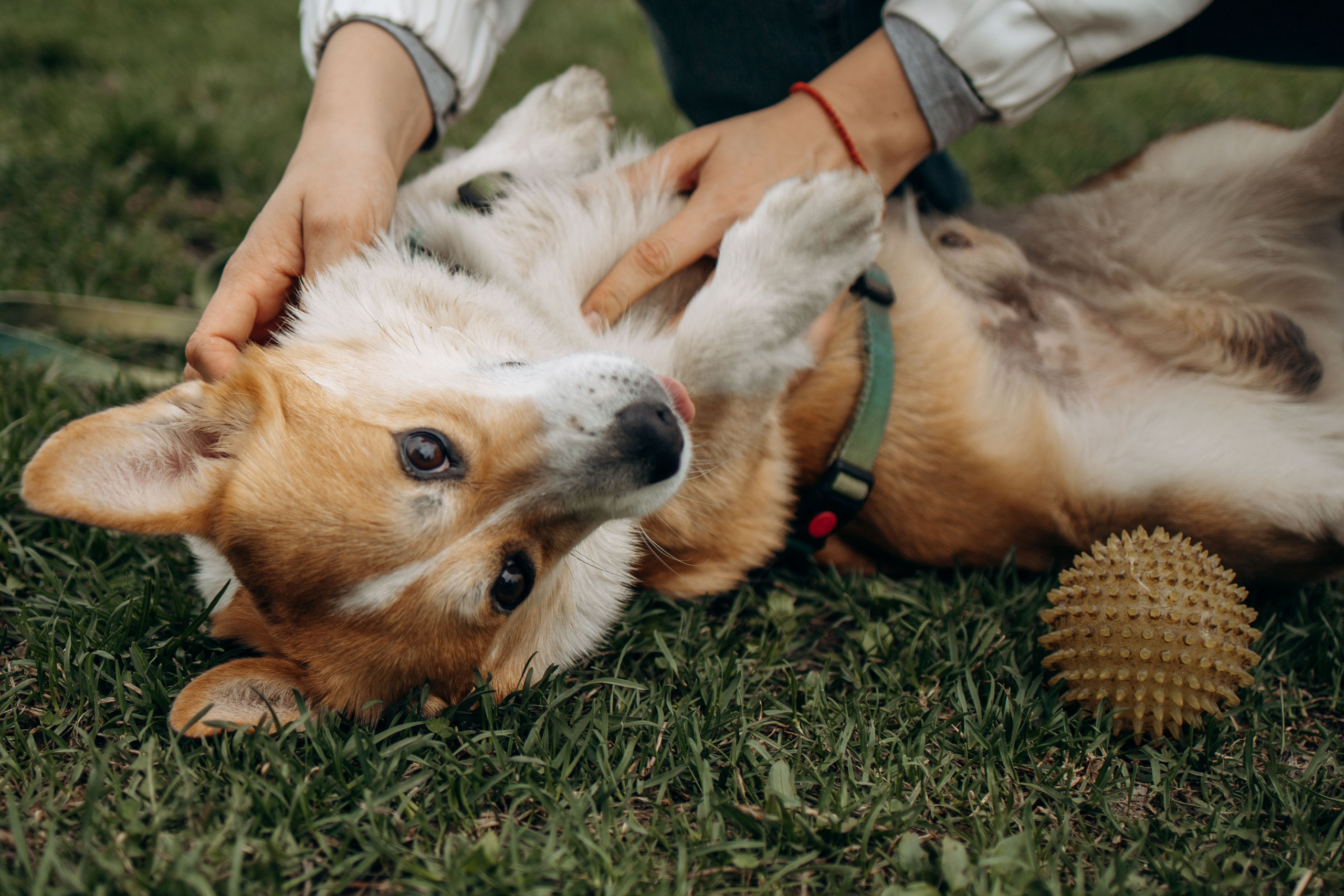 Екатерина и Альфи