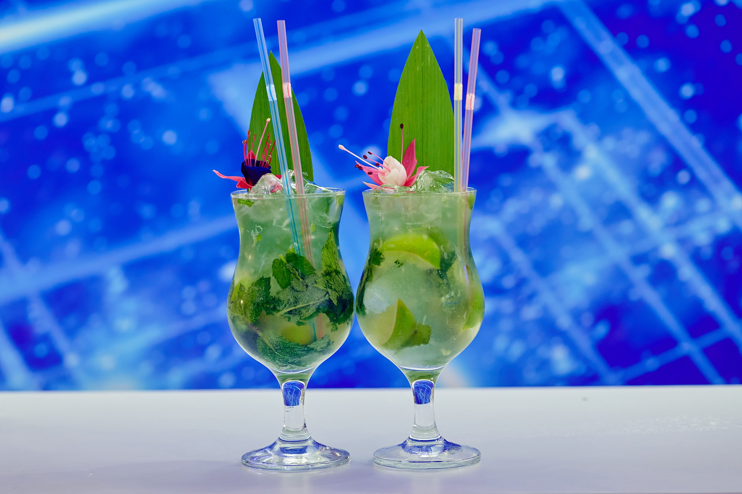 Выставки. Solofilms