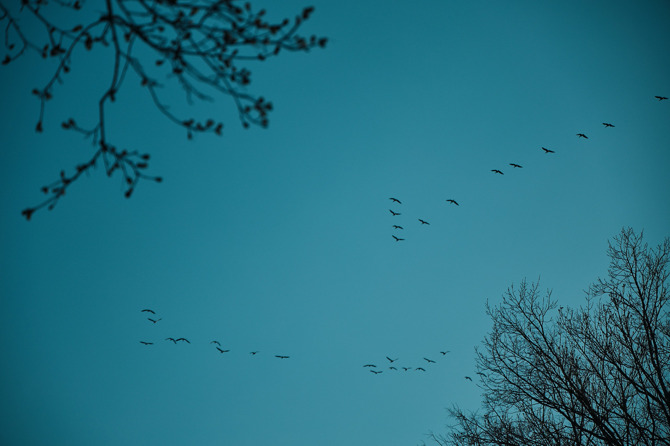 Прогулка по Царскому селу (Октябрьский бульвар). Фотограф Валерий Сабрам