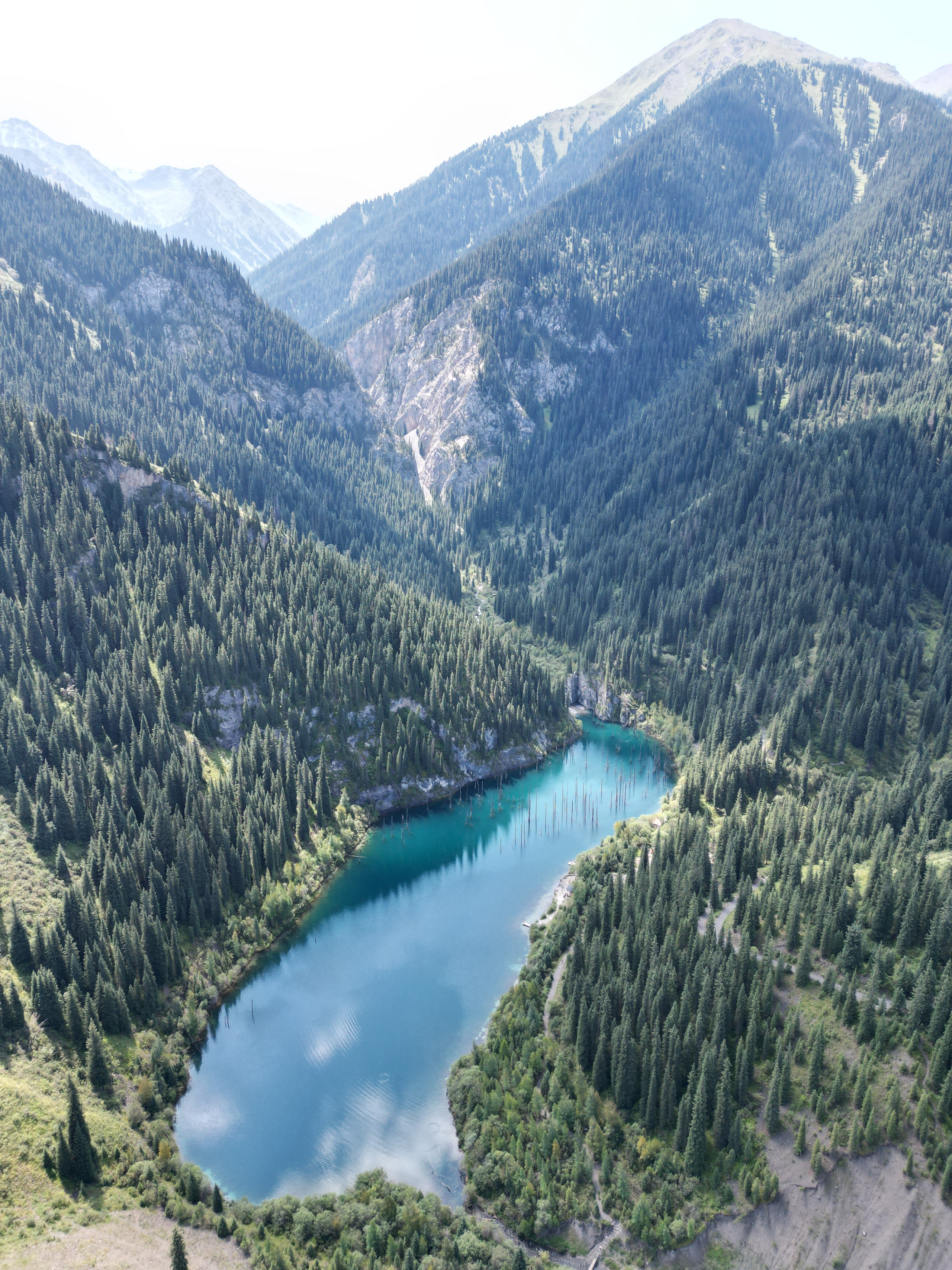 Вид на озеро Кайынды в Алматы в Казахстане с высоты птичьего полета. Озеро находится в центре, имеет ярко-голубую воду и окружено густым хвойным лесом. В воде видны затопленные стволы деревьев. Горы с густыми лесами обрамляют озеро, создавая живописный и спокойный пейзаж. На заднем плане возвышаются вершины гор с мягкими склонами.