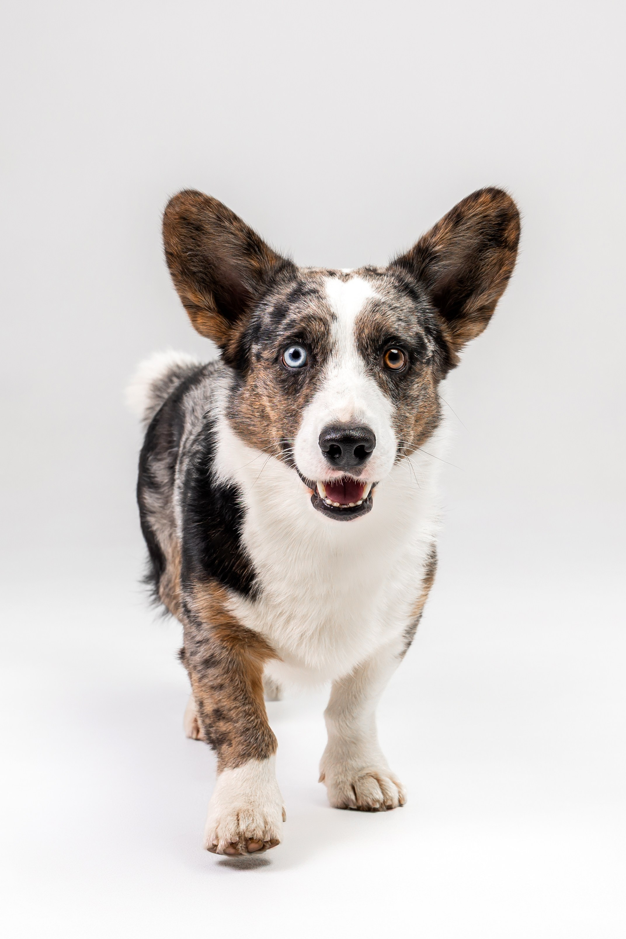 Анатолий и Рагнар