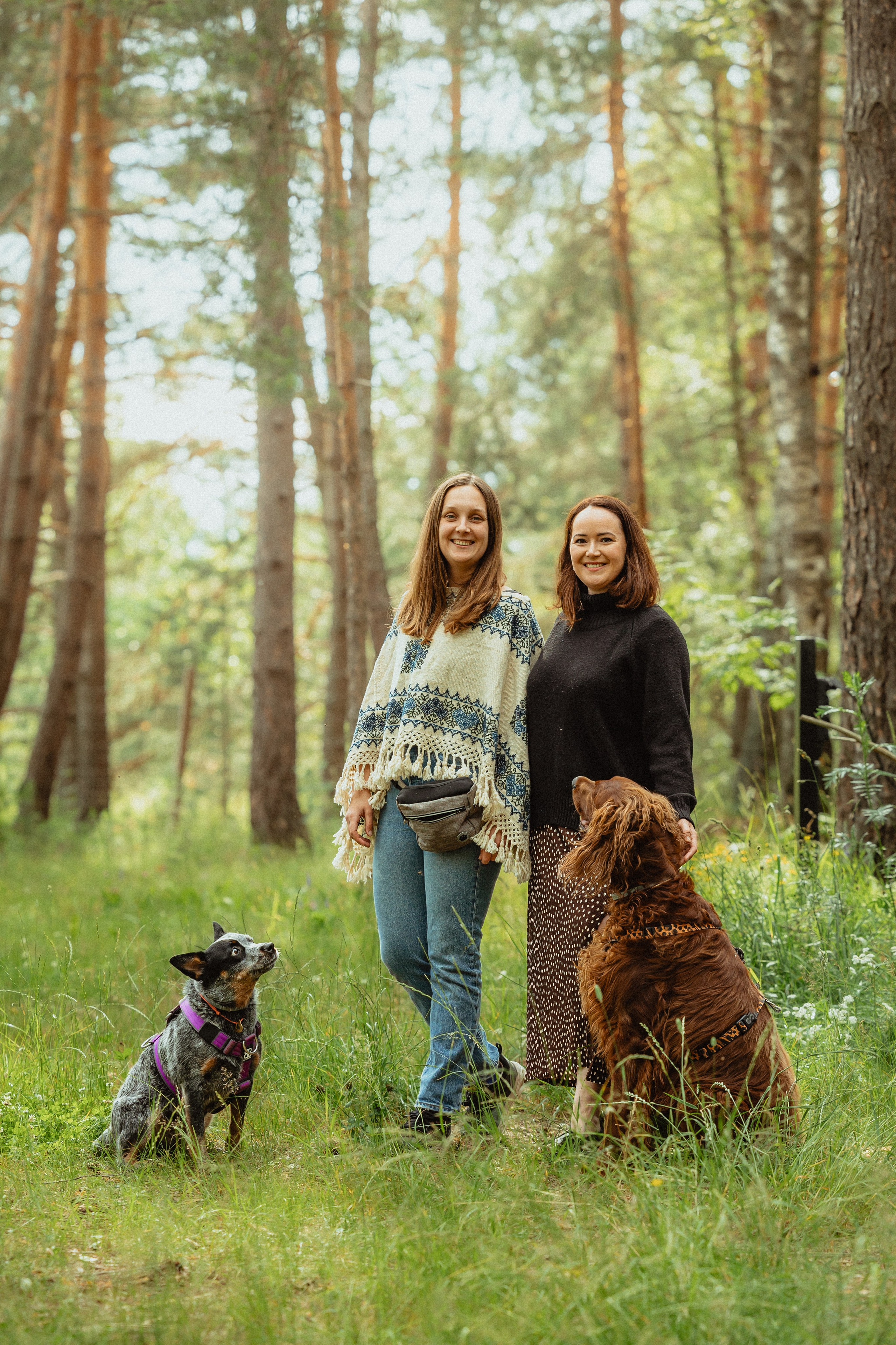 Выездной дог-тренинг от школы «Шерсть имею»