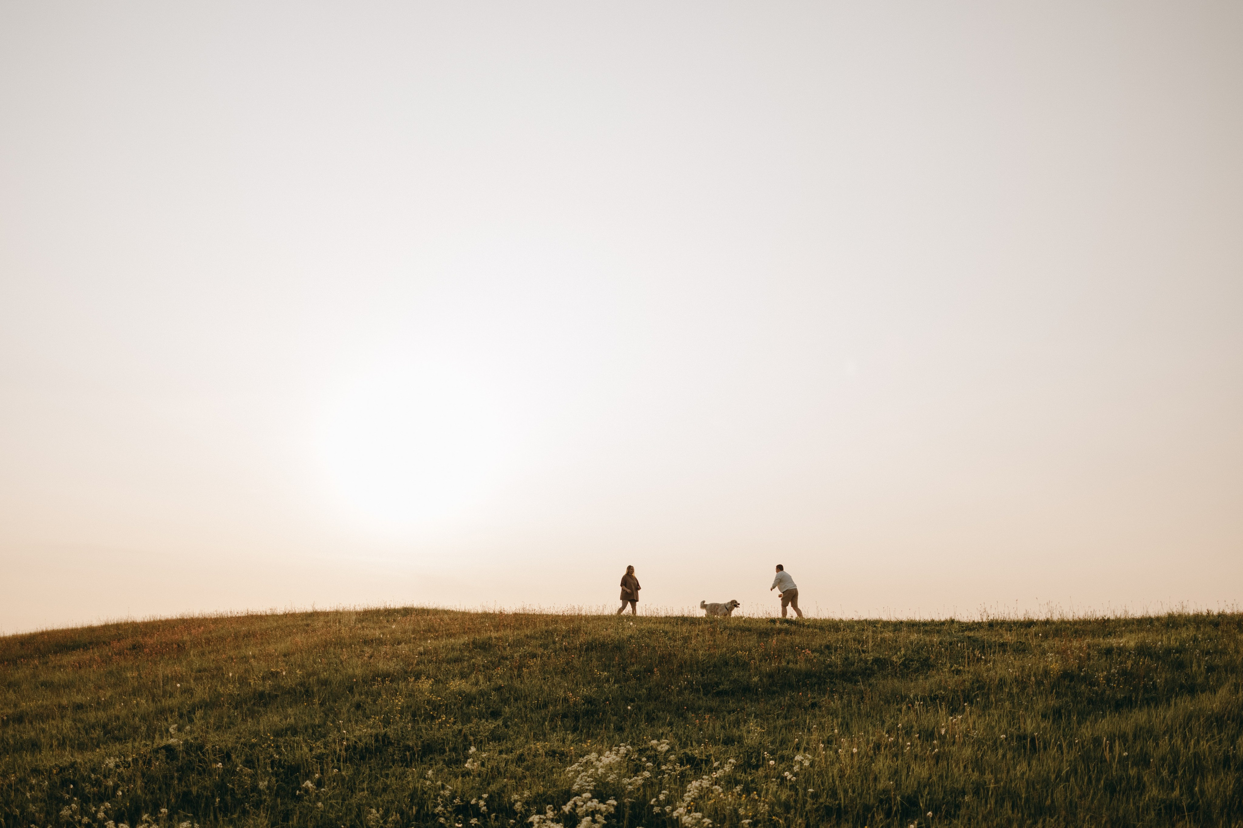 Милка и ребята. Фотограф — Анималист | Санкт-Петербург