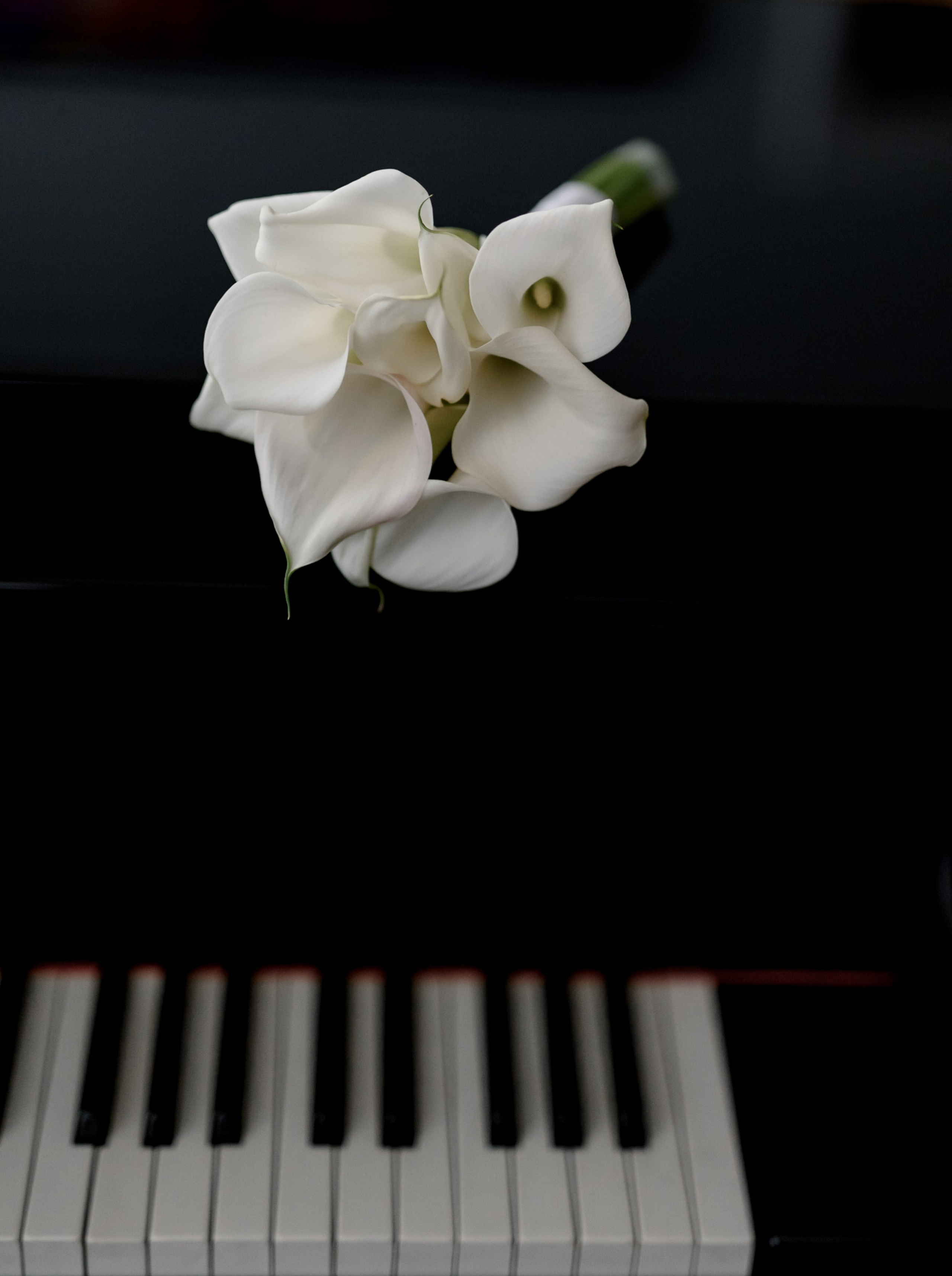 Wedding Day. Свадебный фотограф в Минске Минчукова Анна