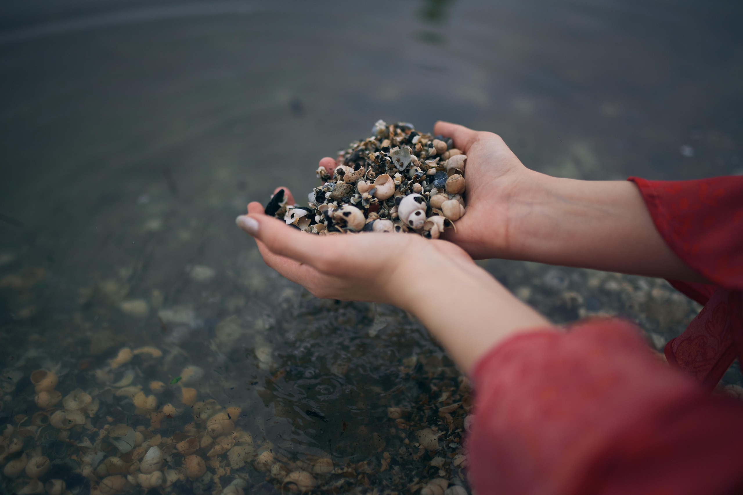 Катрин. Фотограф в Ростове-на-Дону Ника Обида